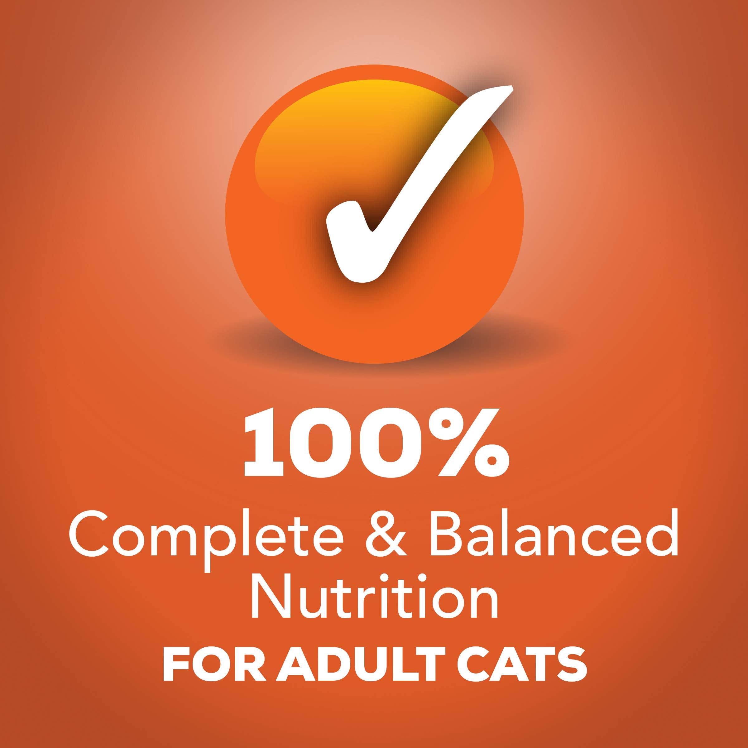 Purina Friskies Wet Cat Food Tasty Treasures With Chicken and Tuna in Gravy (Scallop Flavor) - (Pack of 24) 5.5 oz. Cans