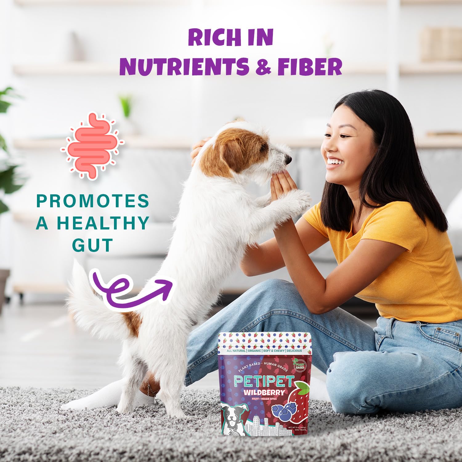 PETIPET Wildberry Plant-Based Fruit Dog Treats - Strawberry, Apple, Blueberry Soft & Chewy - Vegetarian, Vegan Dog Treats with O