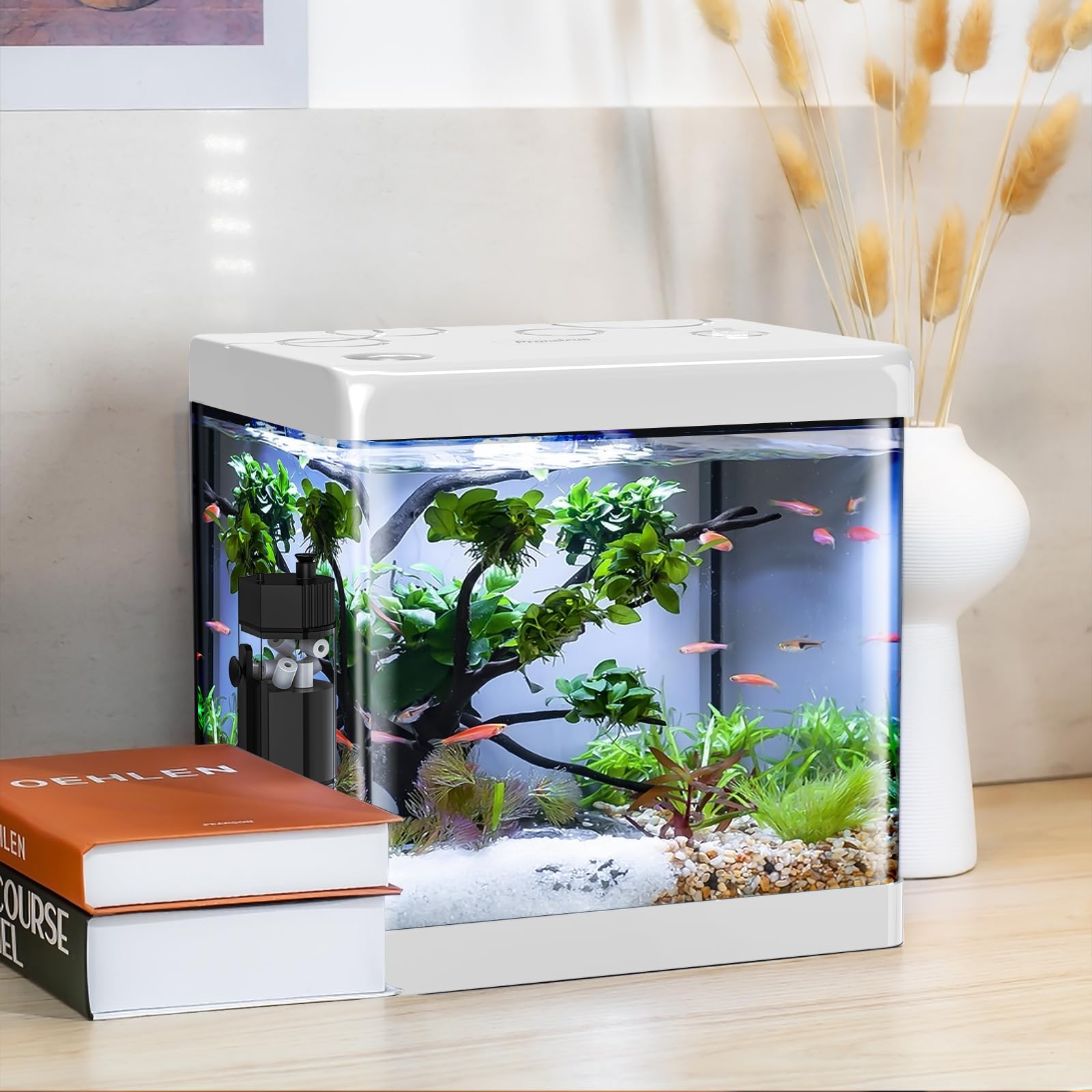 5 Gallon Glass Small Fish Tank,Betta Fish Tank With Filter And Light,White Aquarium Starter Kit.