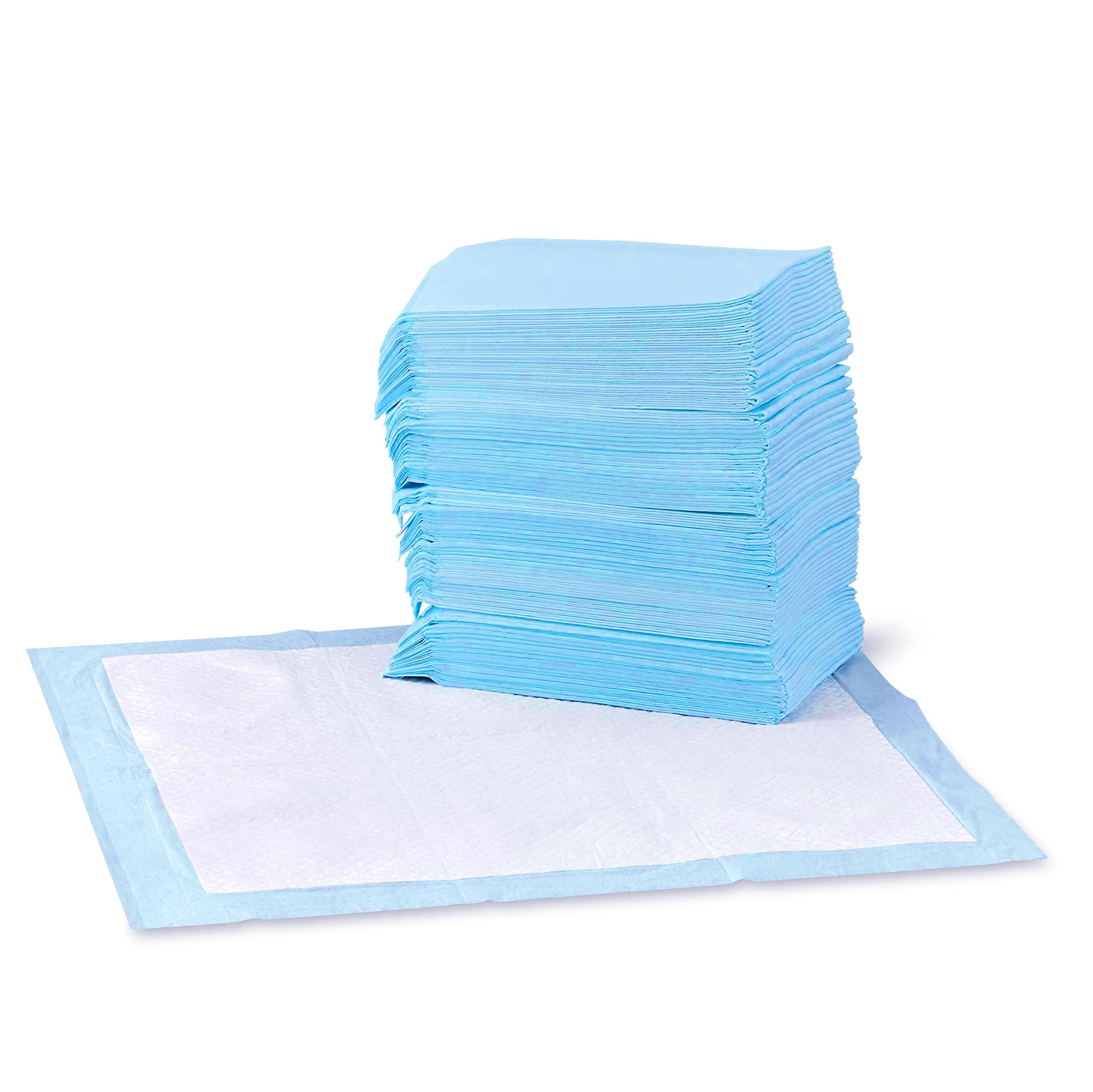 Amazon Basics Dog and Puppy Pee Pads with Leak-Proof Quick-Dry Design for Potty Training, Standard Absorbency, Regular Size, 22 