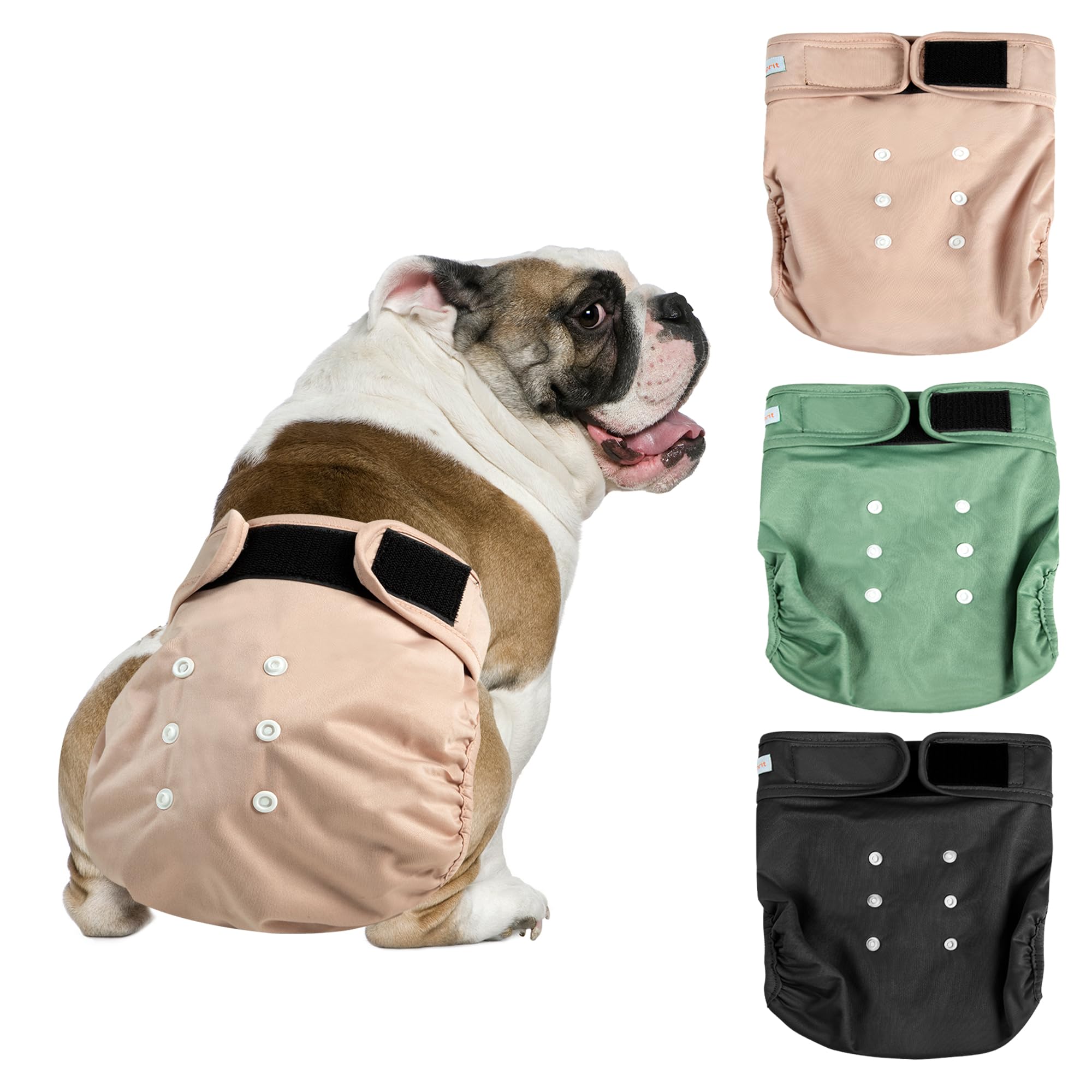 Langsprit Frenchie Female Dog Diapers No Tail Hole,Reusable Puppy French Bulldog Diapers Female for Period Heat,Washable Small M