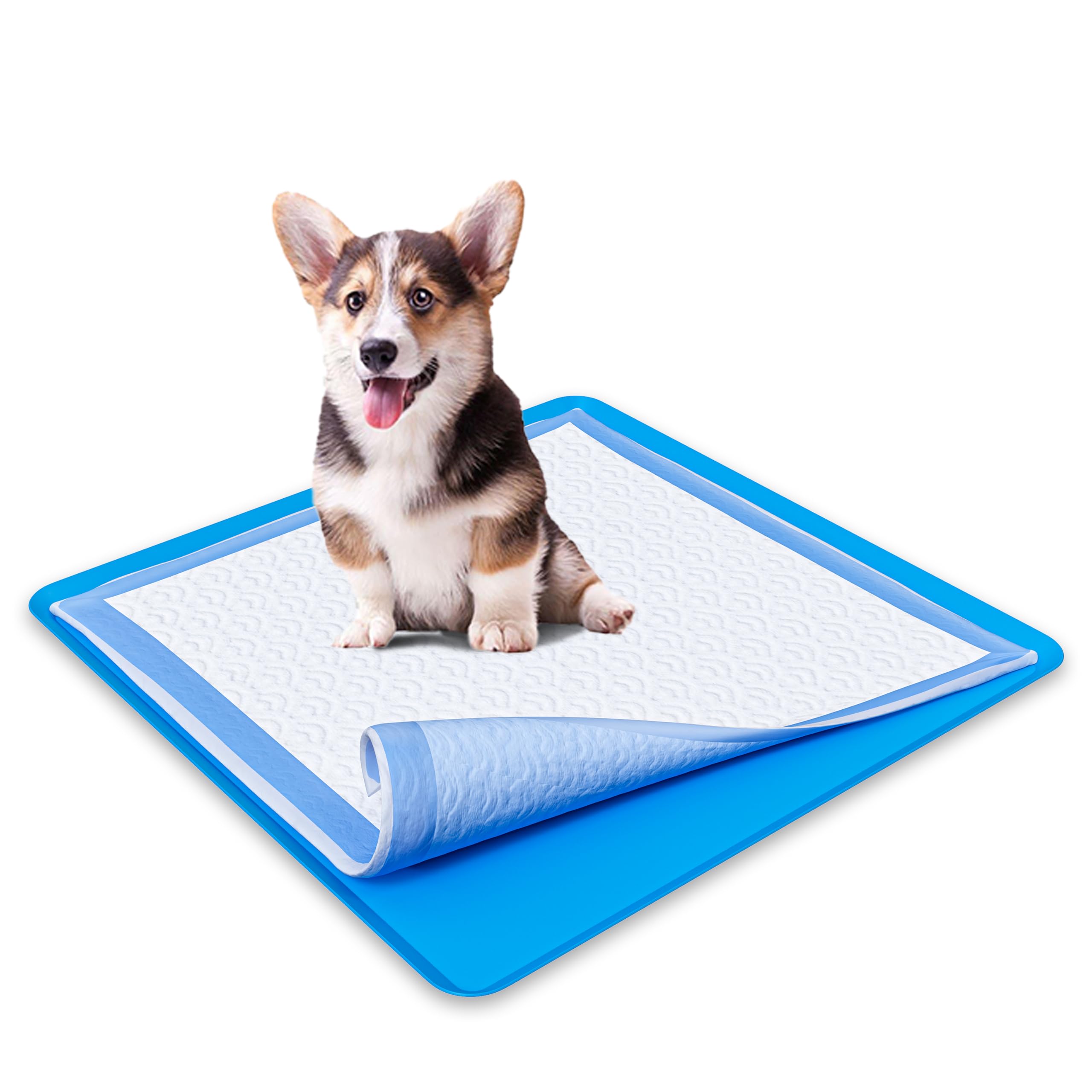 Skywin TidyFriend Pee Pad Holder Tray 24 x 24 Inches, Silicone Dog Potty Tray, Easy to Clean No Spill Dog Potty Training Pad Hol