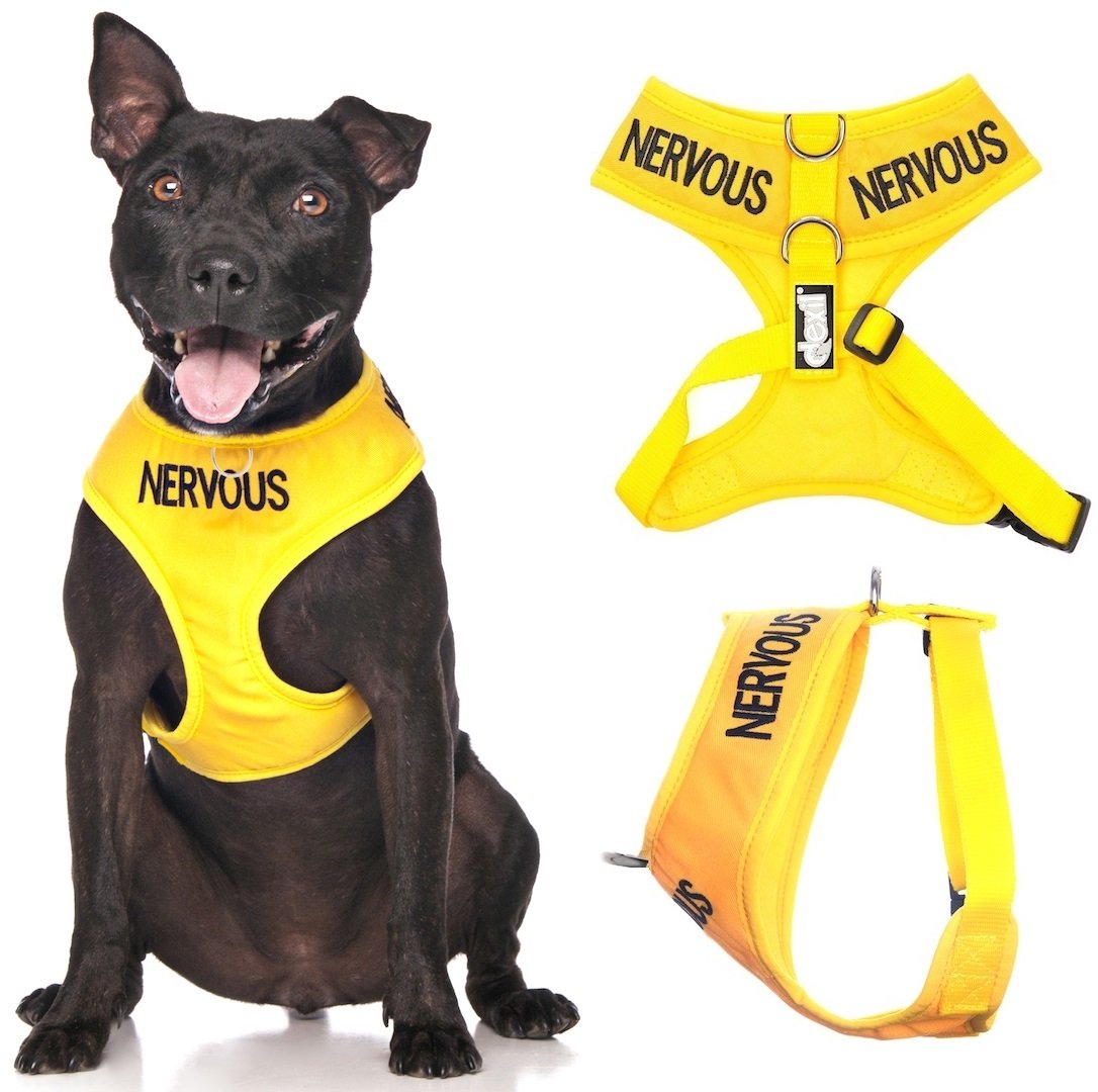 Nervous Yellow Color Coded Waterproof Padded Adjustable Non Pull Front And Back Ring Alert Warning Medium Vest Dog Harness Prevents Accidents By Warning Others Of Your Dog In Advance