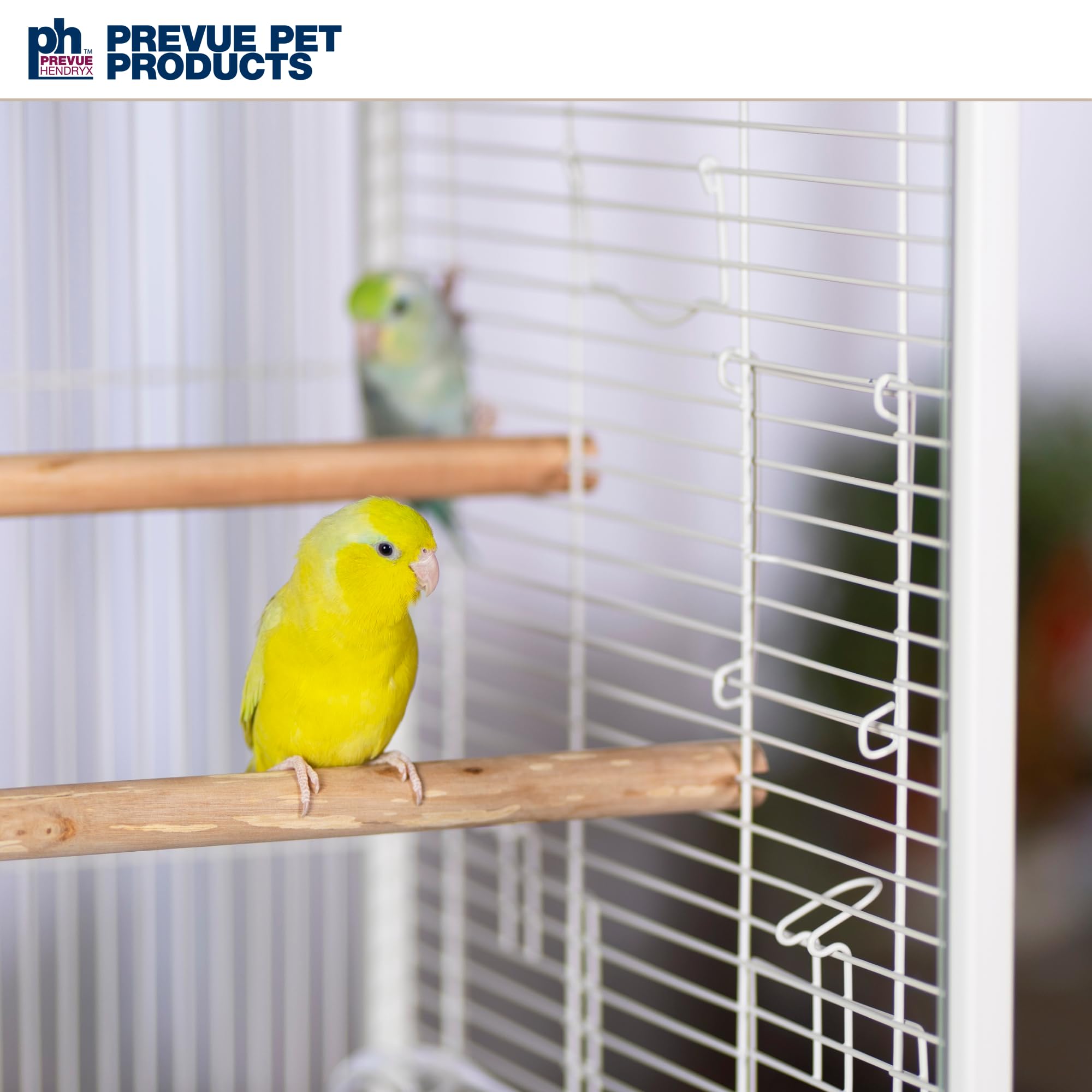 PH Prevue Hendryx Clear View Glass Bird Cage for Small Birds - 23.5" L x 16.5" W x 21.75" H - White Frame Model 224