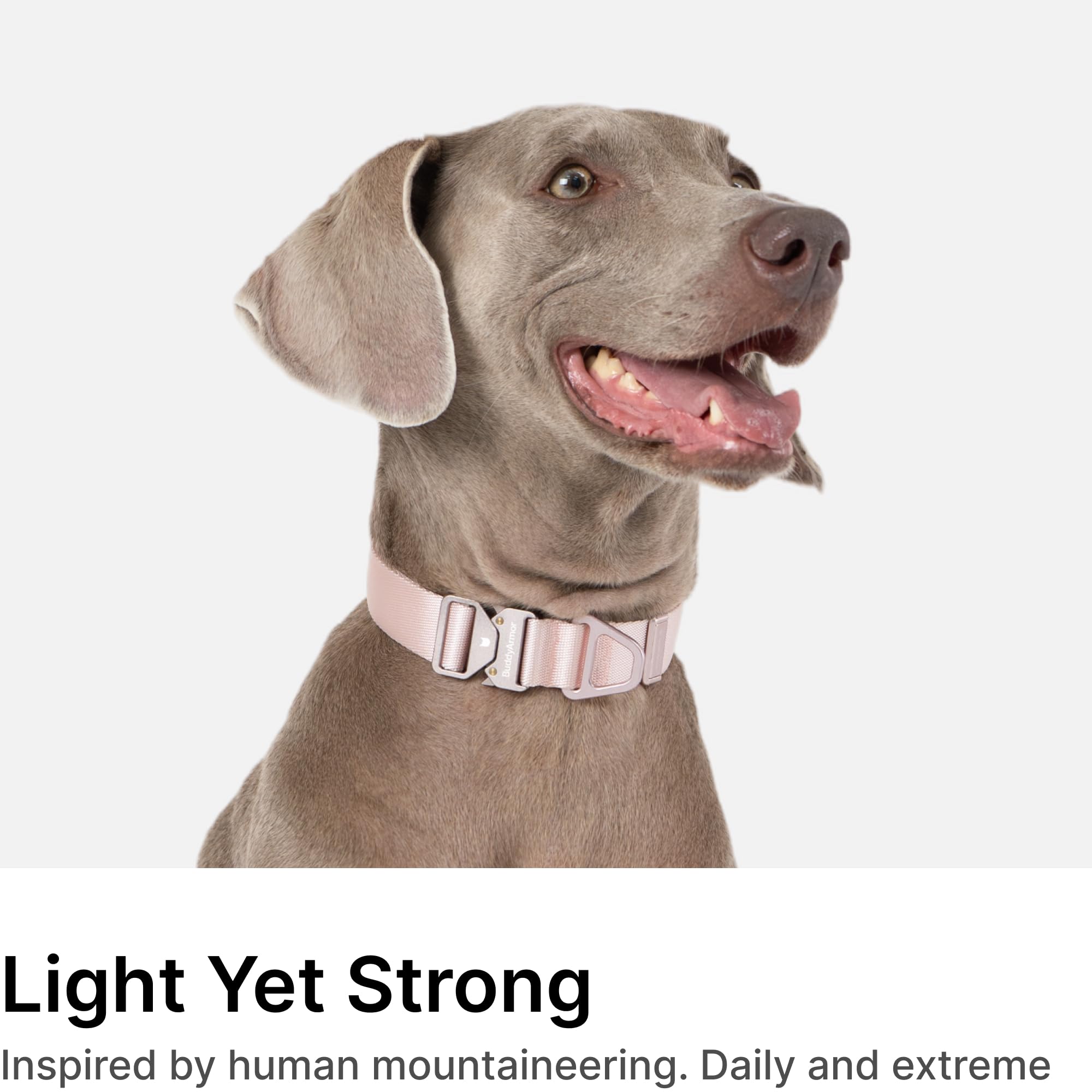 Buddyarmor Dog Collar And Leash Set, Heavy Duty Quick Release Buckle Dog Collar And Two Handles Dog Leash For Training & Outdoor