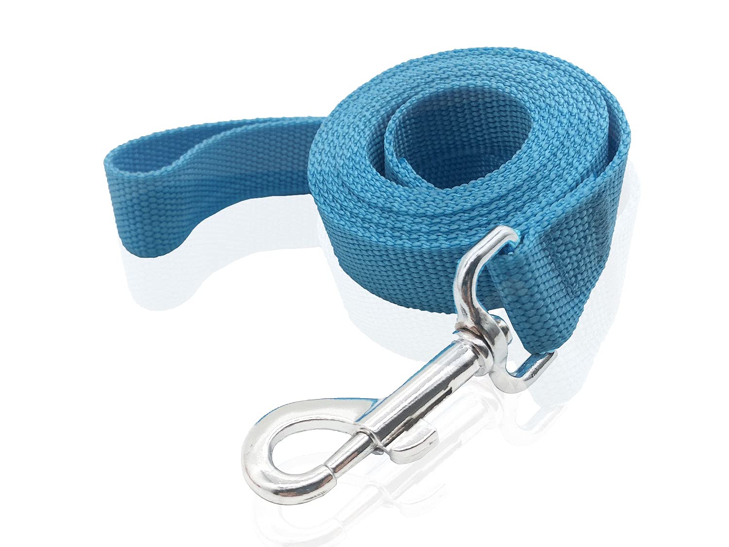 Nylon Dog Leash 12 Feet Long, Walking Training Dog Leashes For Medium Large Dogs(1'' X 12 Ft, Blue)