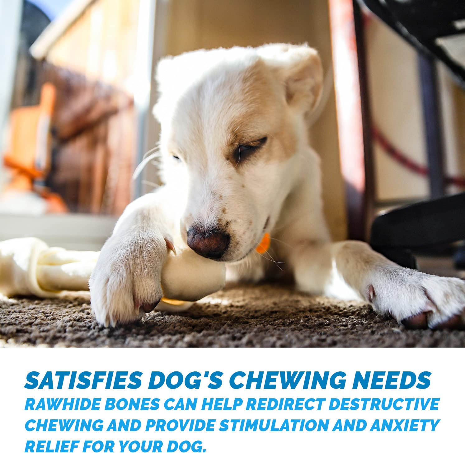 123 Treats Rawhide Bones for Dogs - 5-6 Inches (10 Count) Natural Raw Hide Bones, Long Lasting Medium & Large Dog Chews, Free Ra