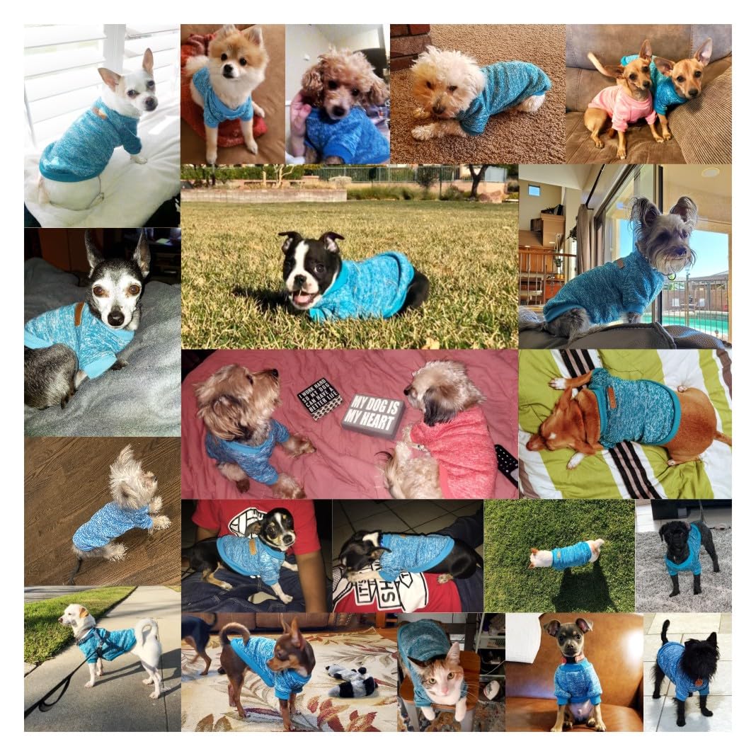 Chborless Pet Dog Classic Knitwear Sweater Warm Winter Puppy Pet Coat Soft Sweater Clothing For Small Dogs (Xs, Light Blue)