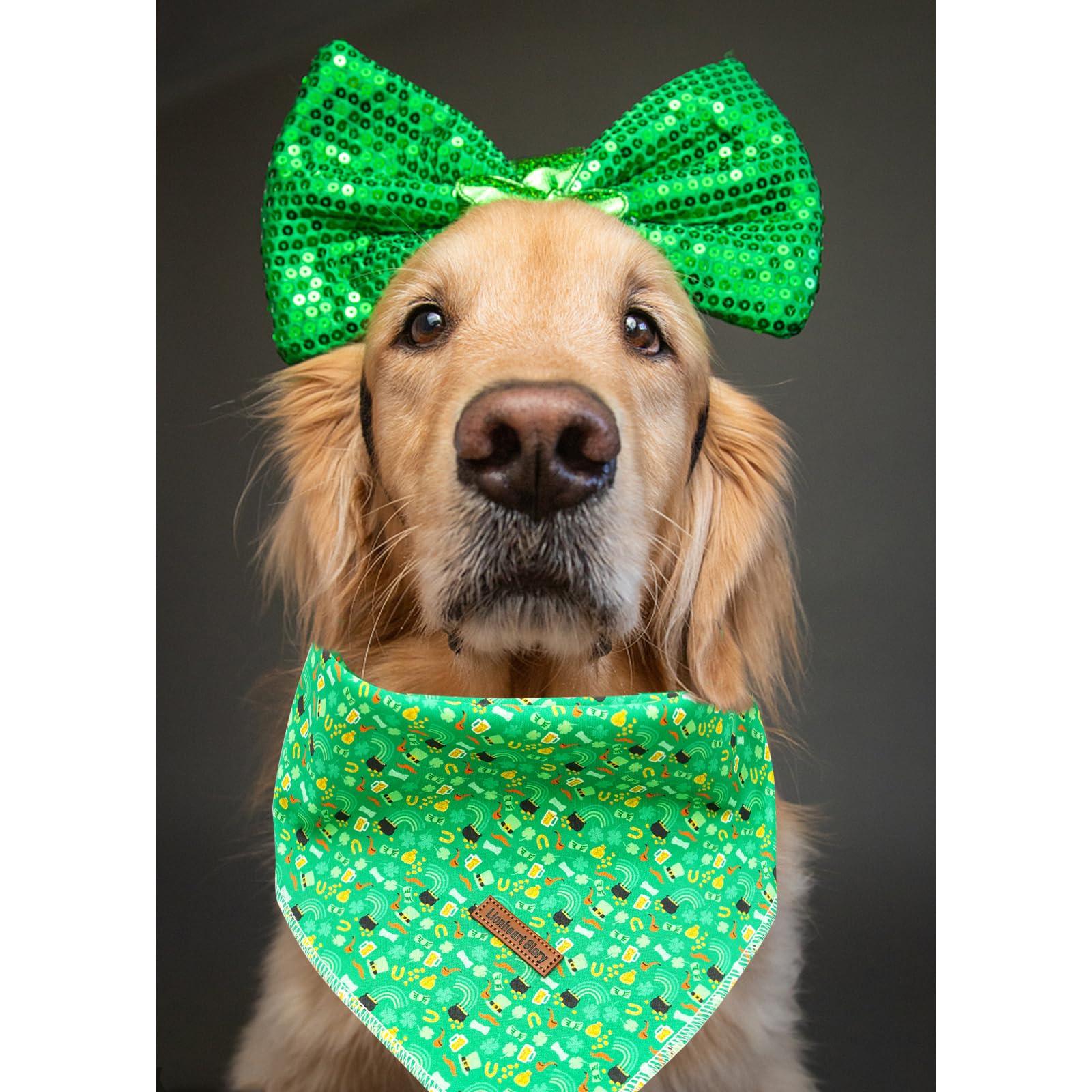 Lionheart Glory St. Patrick'S Washable Soft Dog Scarf, Square Adjustable Bandana For Medium Large Dogs
