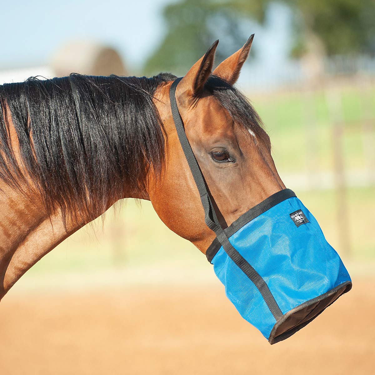 Cashel Company Feed Rite Bag Horse Blue, (FRB-BL)