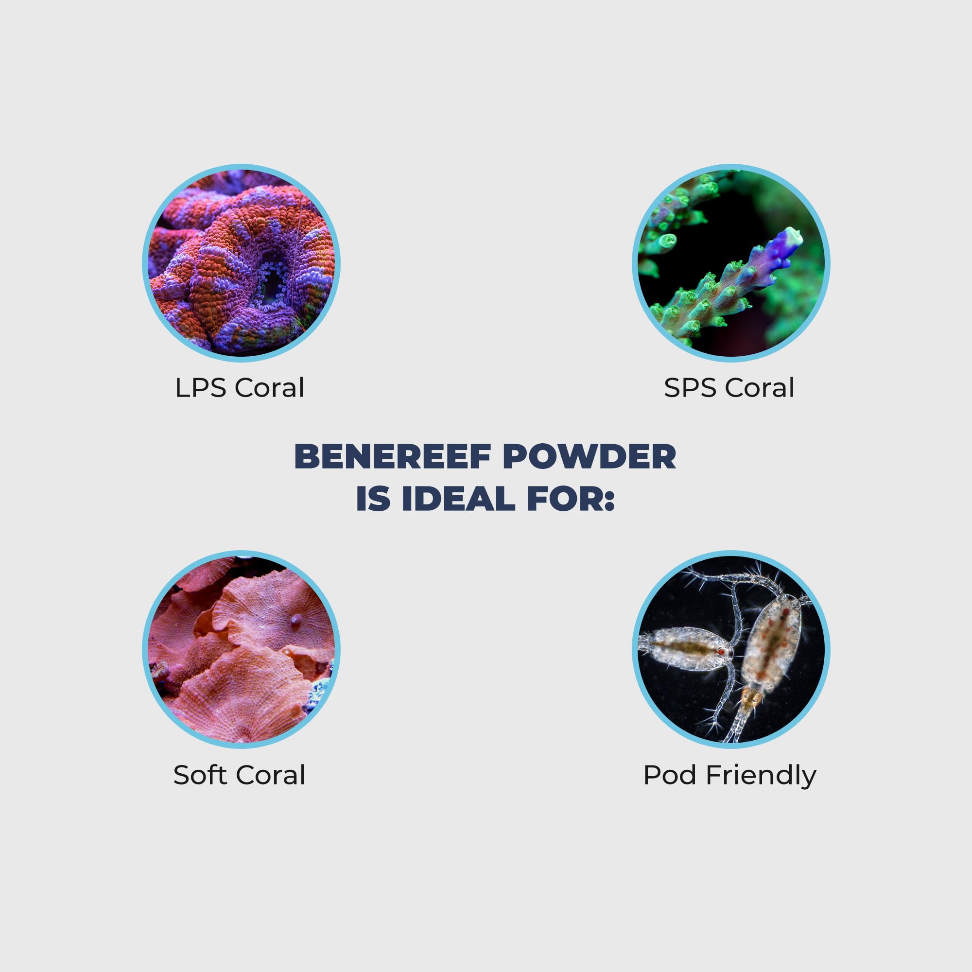 Benereef 80g Jar