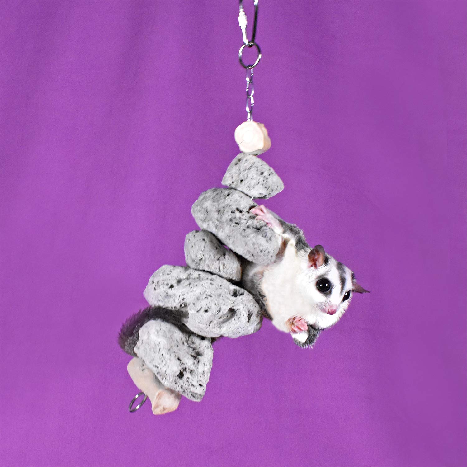 Exotic Nutrition Pumice Chew Dangle - Natural Healthy Hanging Cage Accessory Toy - For Squirrels, Degus, Chinchillas, Prairie Do