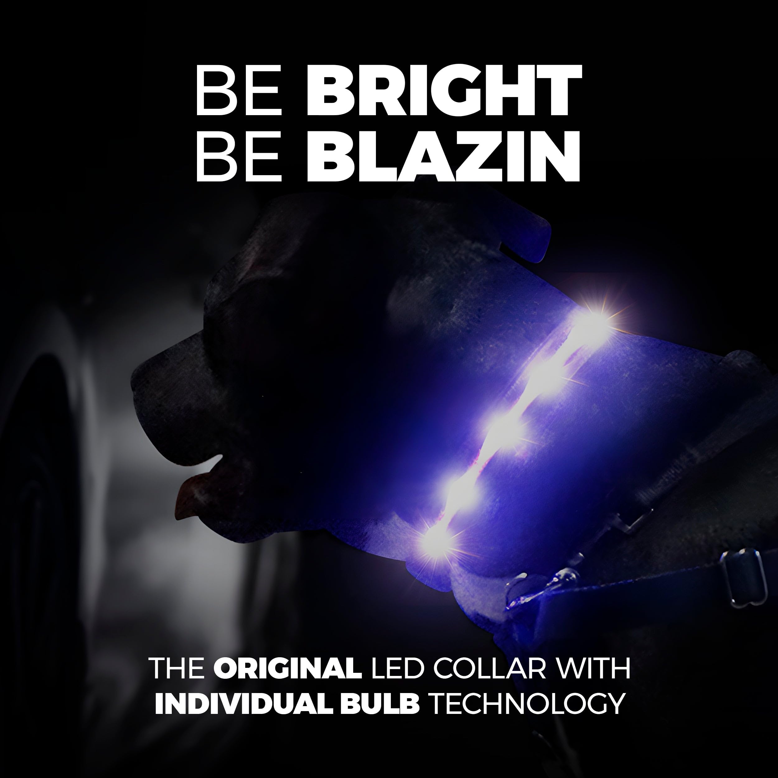 Blazin Led Dog Collar - The Original Light Up Dog Collar - Usb Rechargeable - Waterproof - 1,000 Feet Of Visibility - Dog Collar