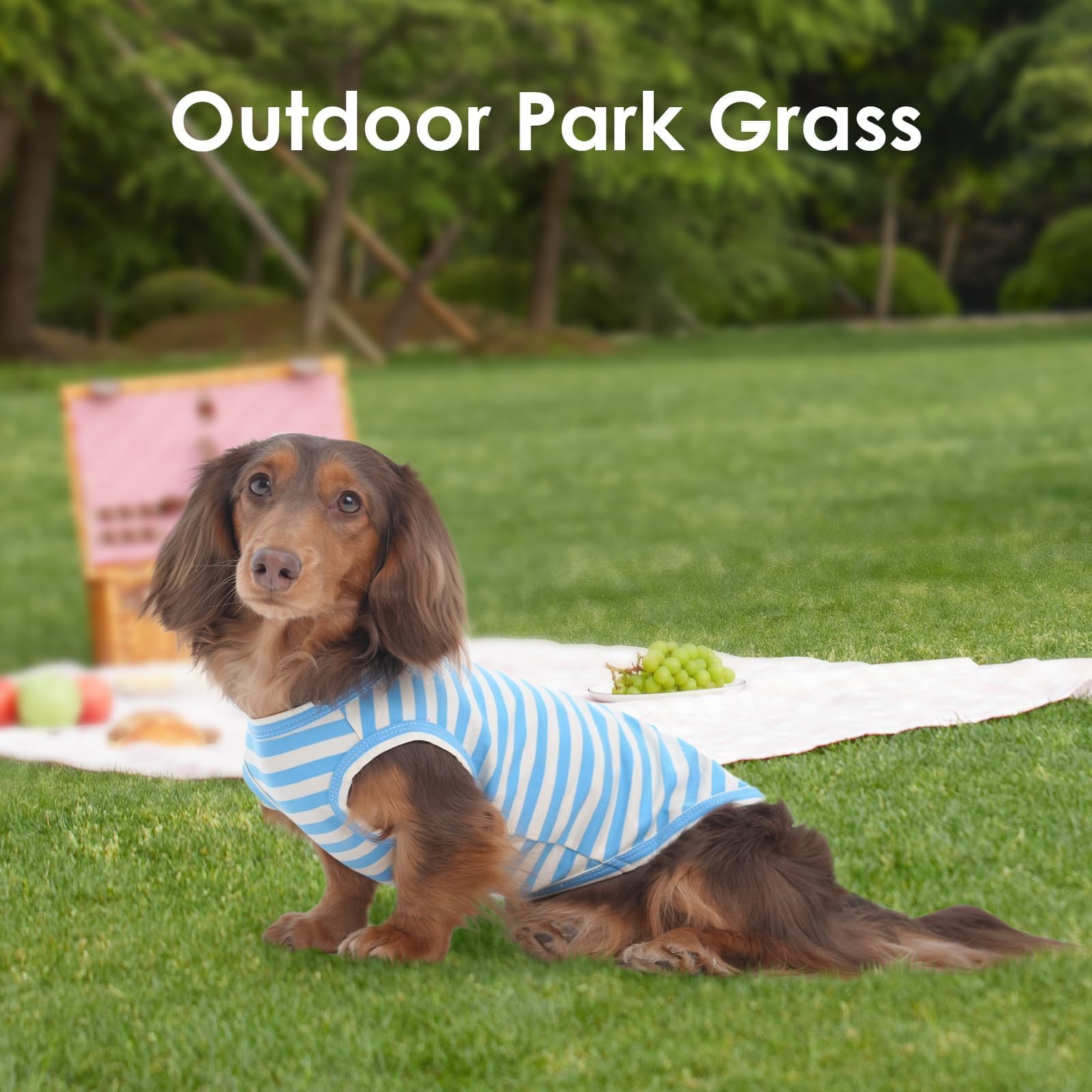 3 Pack Blue Striped Dog T-Shirt For Small Dogs,Medium Sleeveless Lightweight Tee Shirt For Summer Outdoor Spring Picnic Sun Prot