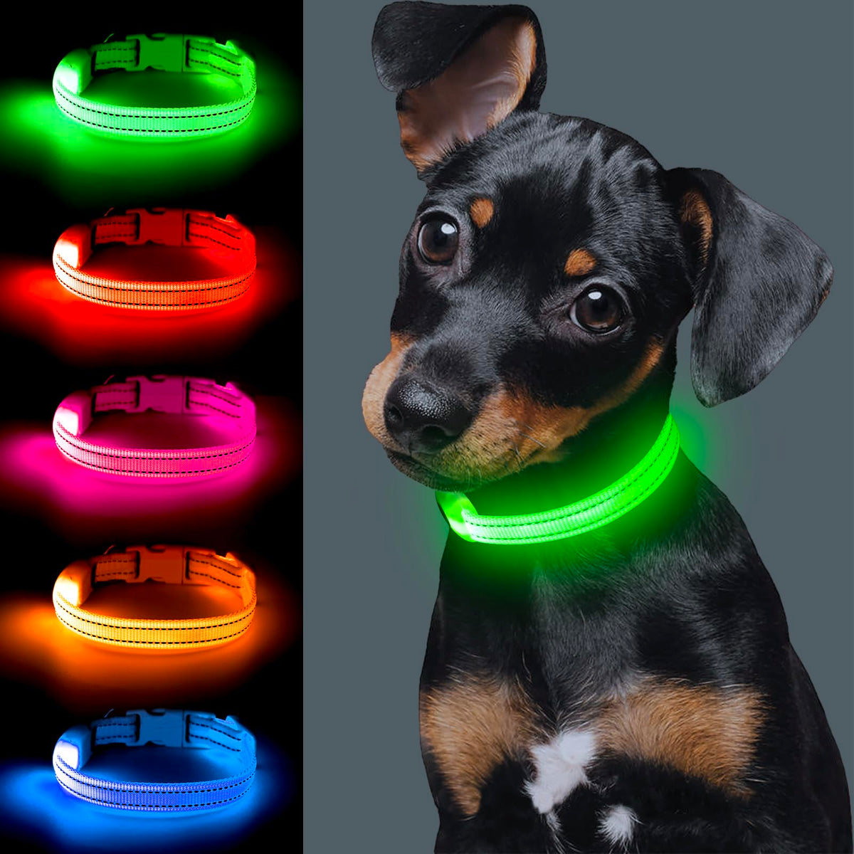 Light Up Dog Collar For Small Dog,Vizpet Xs Adjustable Size Nylon Collar Usb Rechargeable Bright Safety Pet Collar For Cats Dogs (Green)