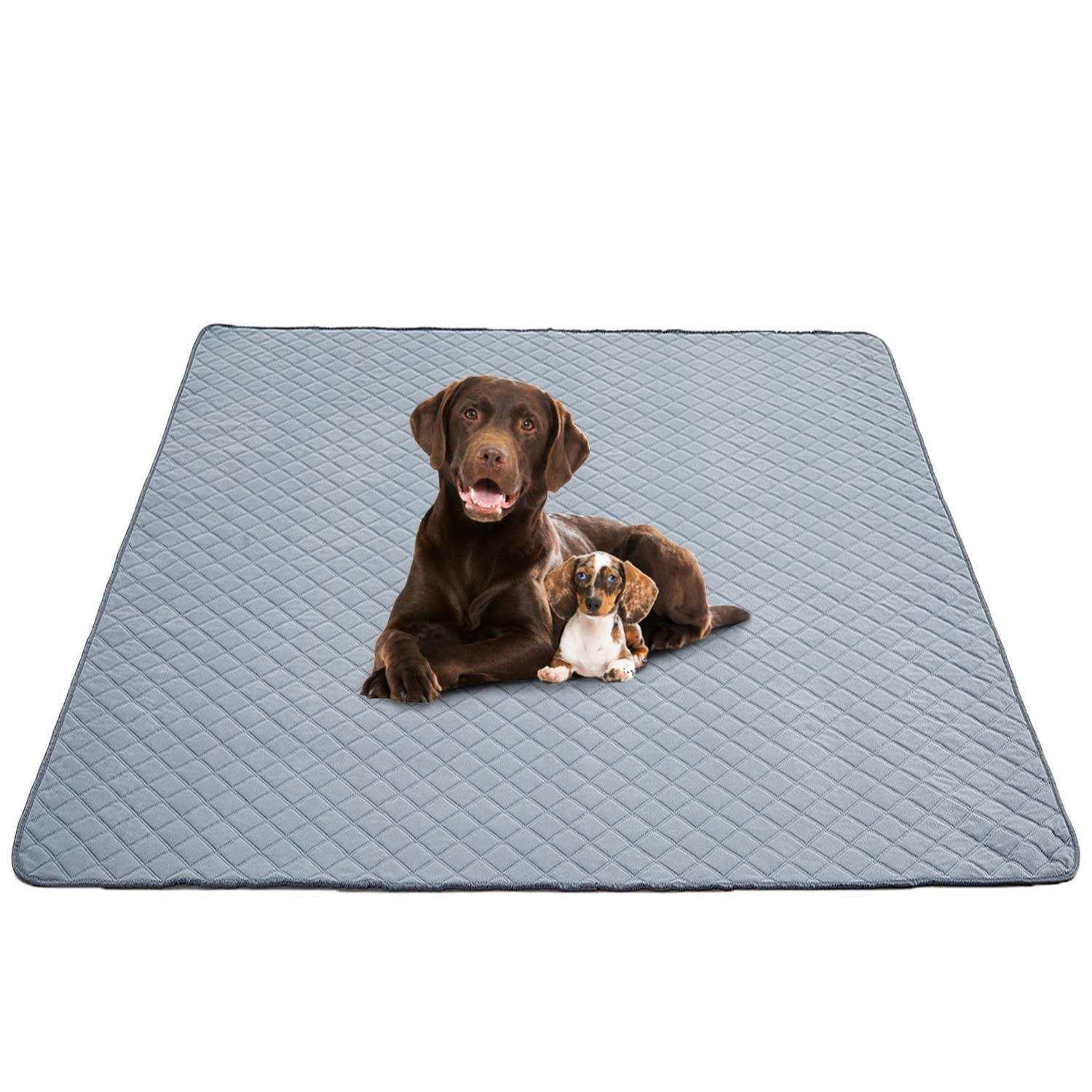 Eterish Reusable Washable Pee Pads for Dogs Large/Extra Large 36   x 41   2 Pack, Absorbent Pet Puppy Dog Training Pads Non-