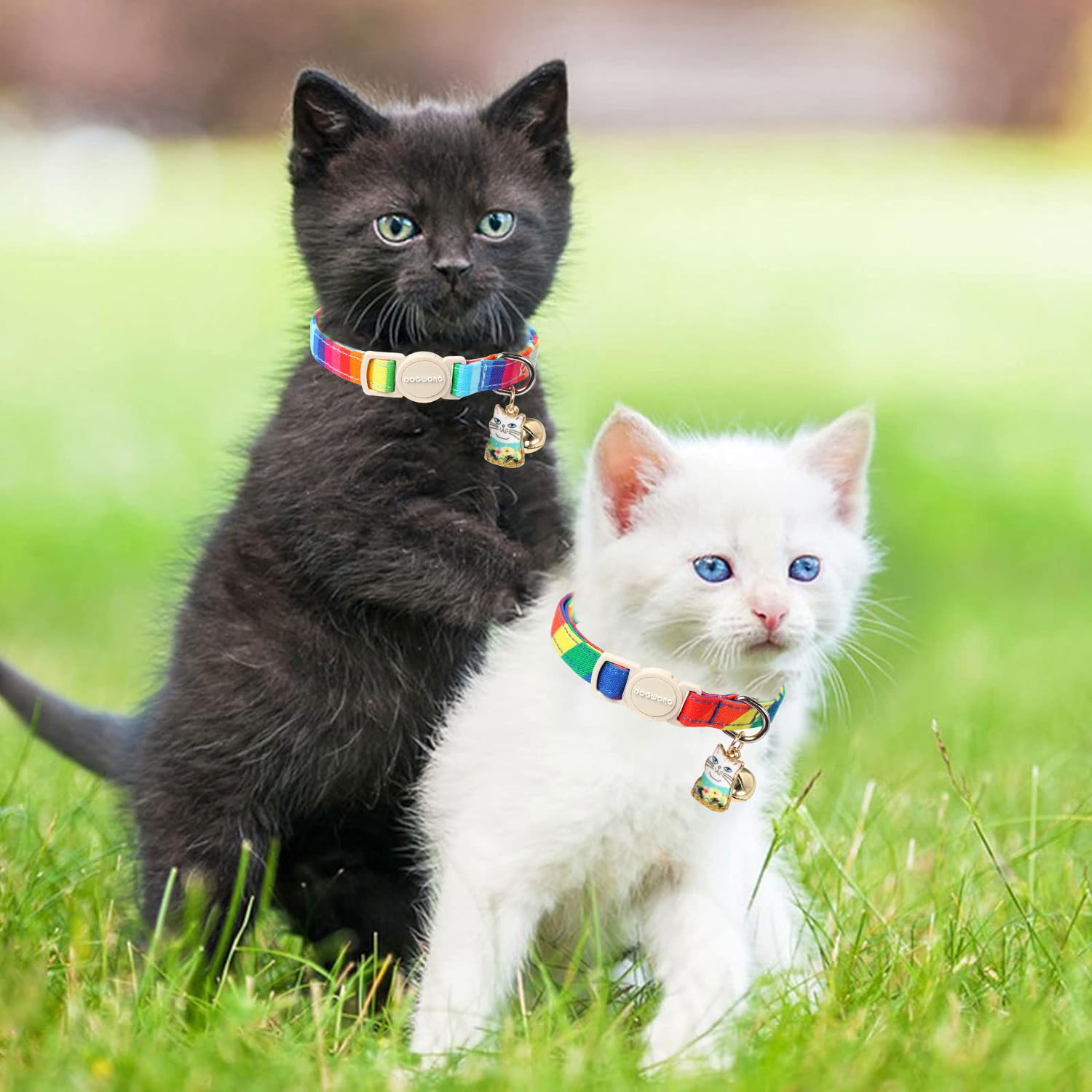 Cat Collar,2 Pack Lgbt Cat Collars Breakaway With Bell, Dogwong Safety Buckle Cat Collar For Girl Boy Cats And Small Dogs,Adjust
