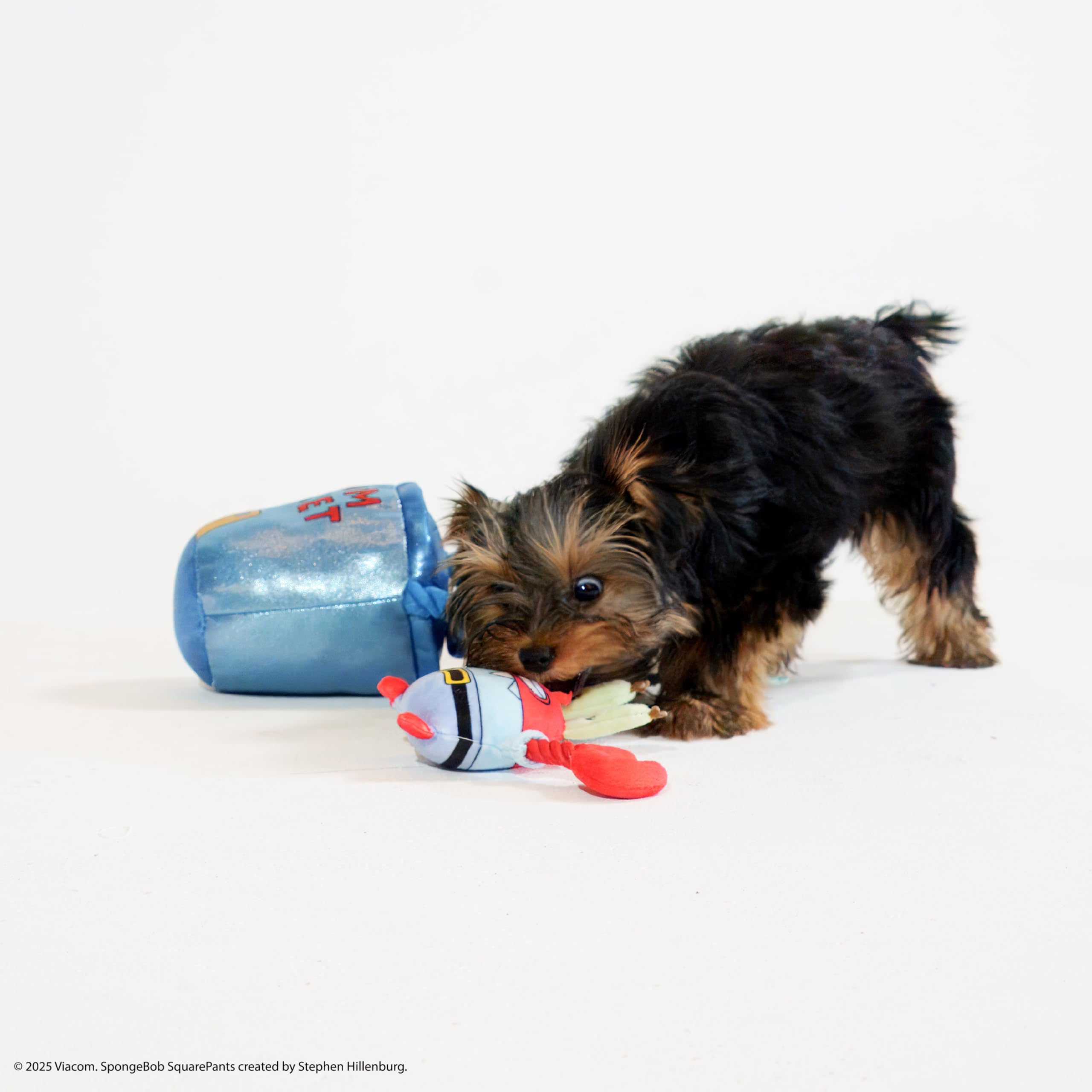 Design Lab, Inc. Spongebob Squarepants Official Merchandise | Interactive Dog Toys With Tug Rope & Squeakers | Collectible 3-Pac