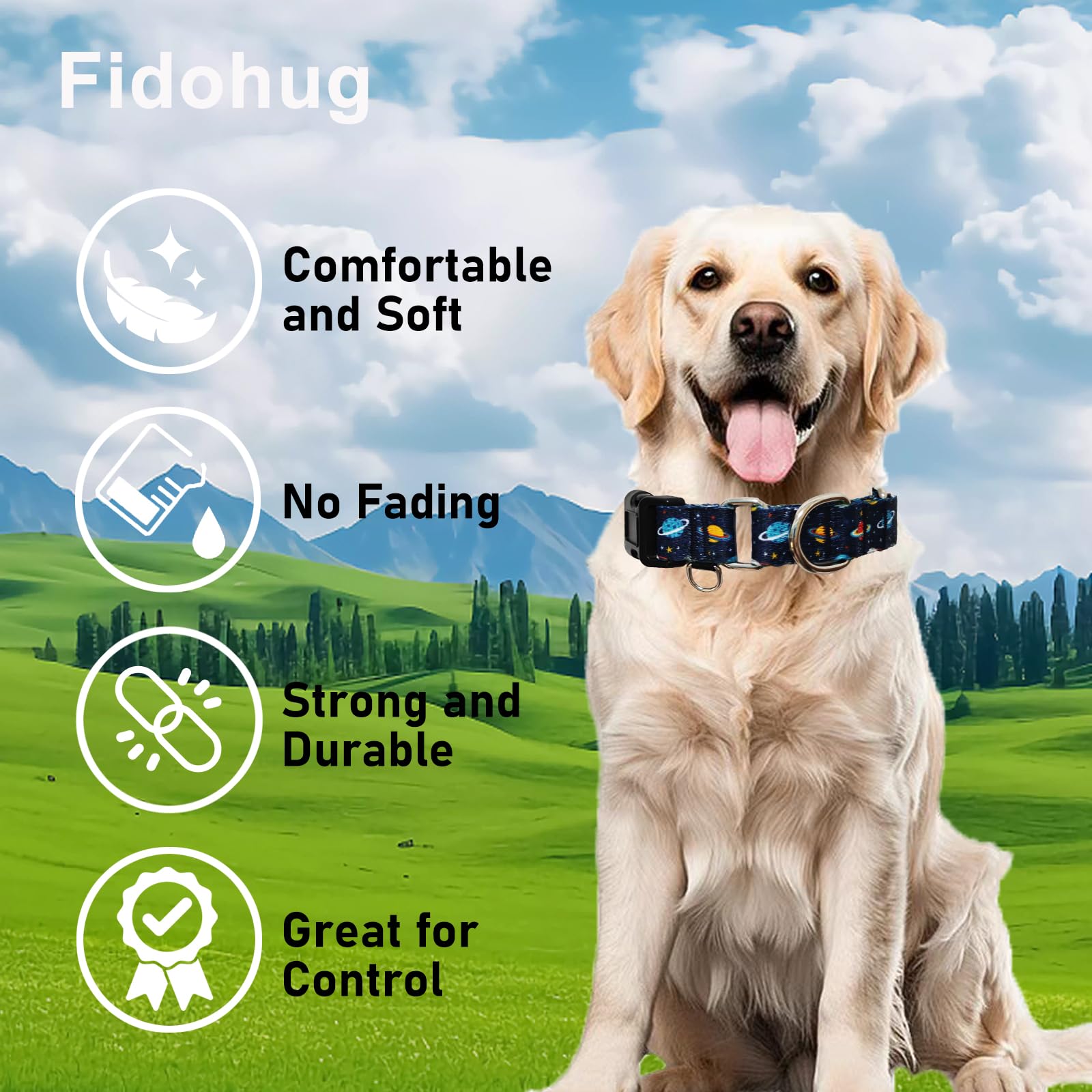Fidohug Martingale Dog Collars With Buckle No Slip Training Boy Dog Collar For Medium Dogs (Blue Space, Medium)