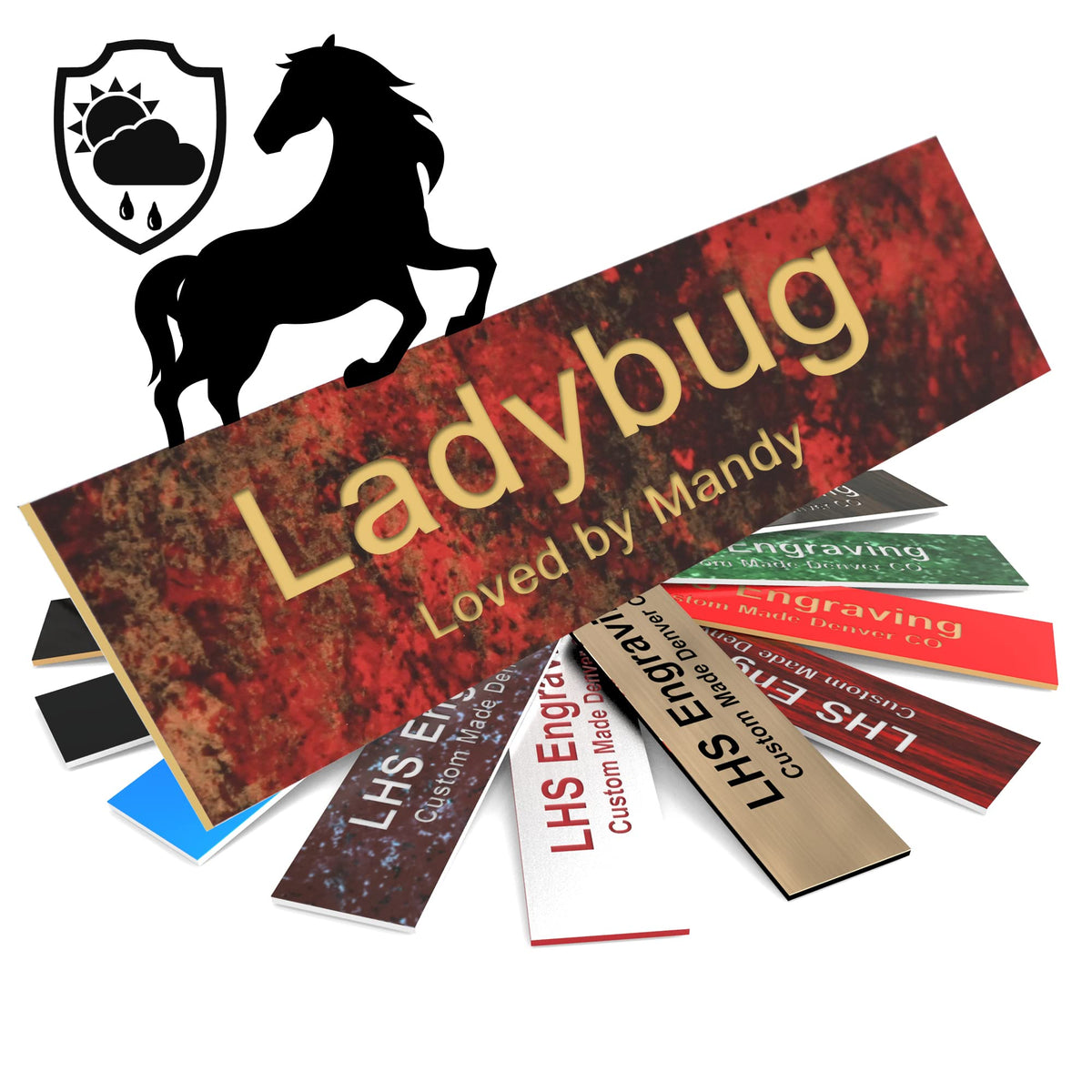 Lhs | Horse Stall Name Plate, 2X6 Personalized Stall Signs, Uv Protected, All Weather Adhesive, Hanging, Mounting Or Other, Rust