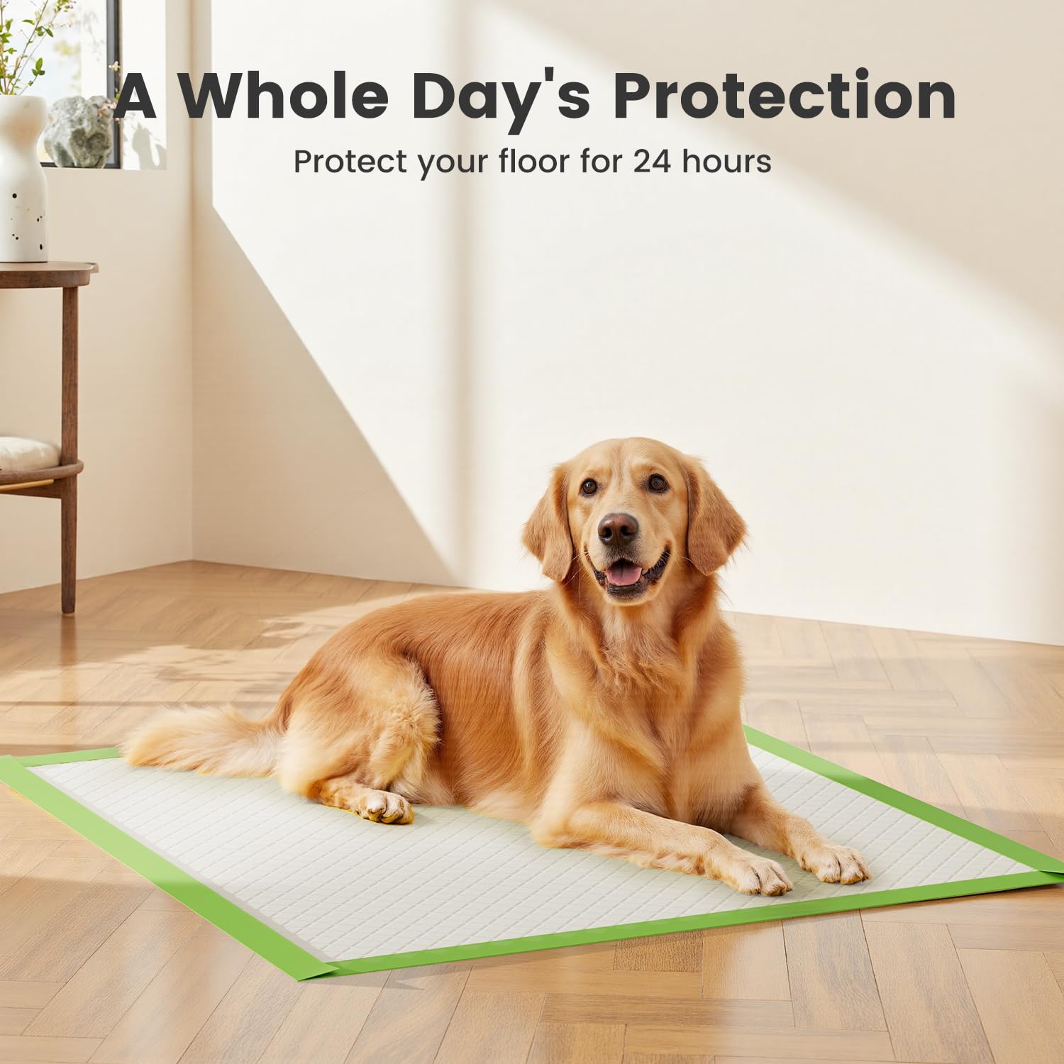 Gardner Pet Extra Large Eco-Friendly Dog Pee Pads, 28"x34", Super Absorbent, Green, 50 Count