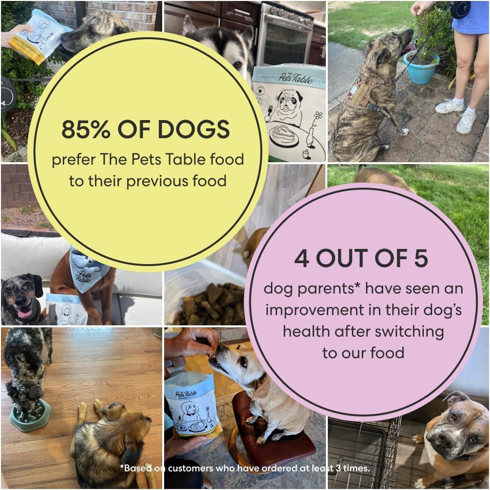 The Pets Table Grain-Free Air Dried Dog Food with Beef & Berries, 1 lb Bag
