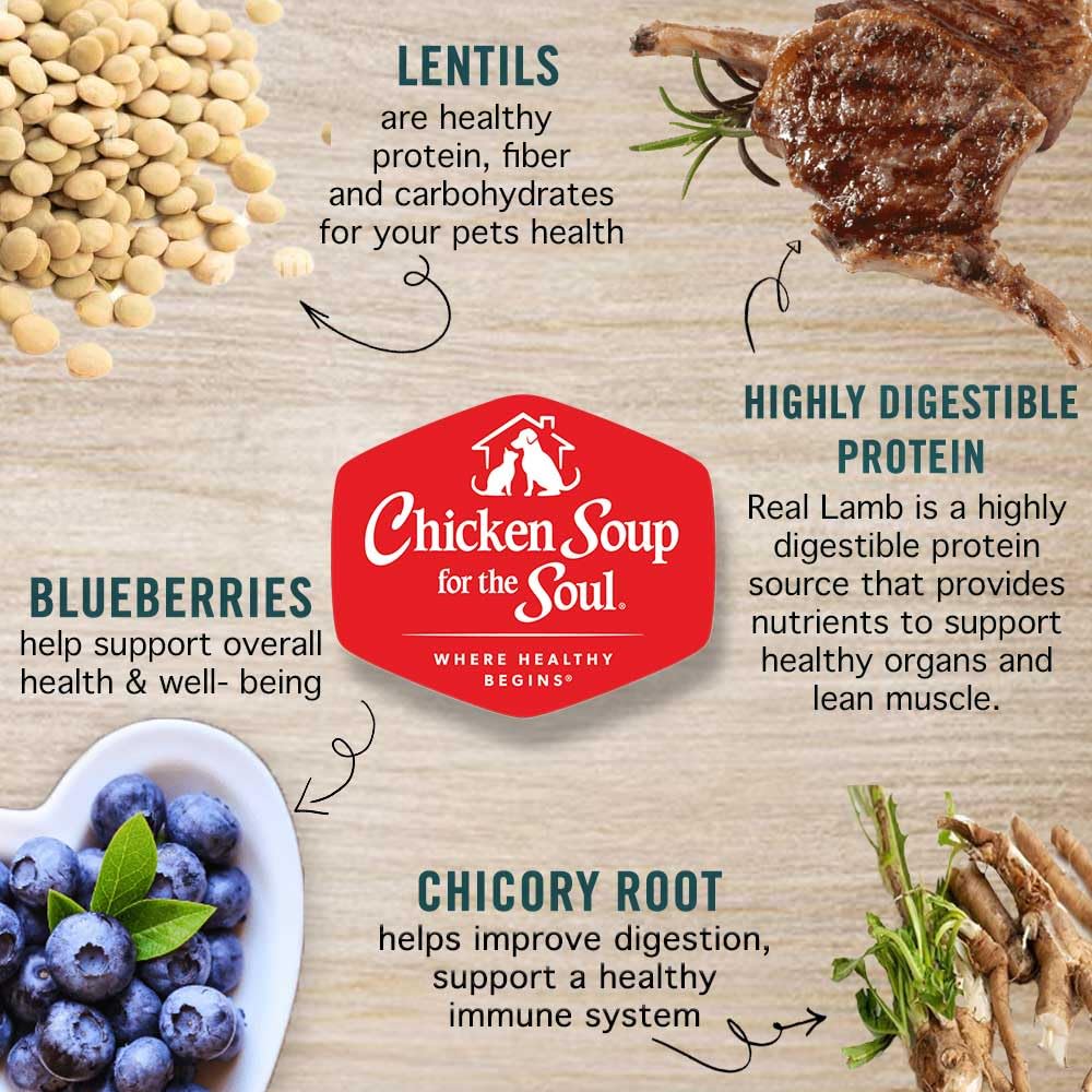 Chicken Soup for the Soul All Natural Premium Grain-Free All Life Stage Dry Dog Food, Real Meat First Ingredient, No By-Products