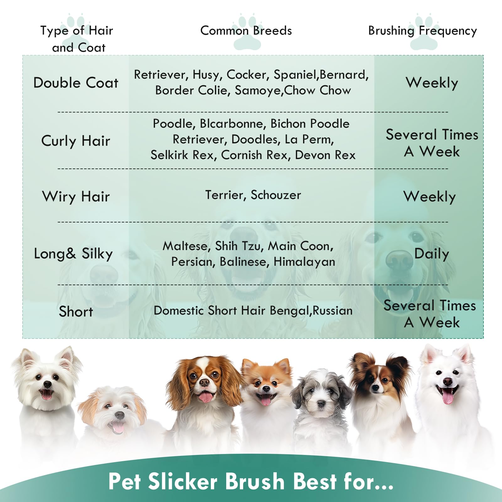 COZYGIFT Large Green Dog Brush for Medium to Long Haired Pets - Slicker Brush Removes Loose Hair, Tangles and Knots, Best Groomi