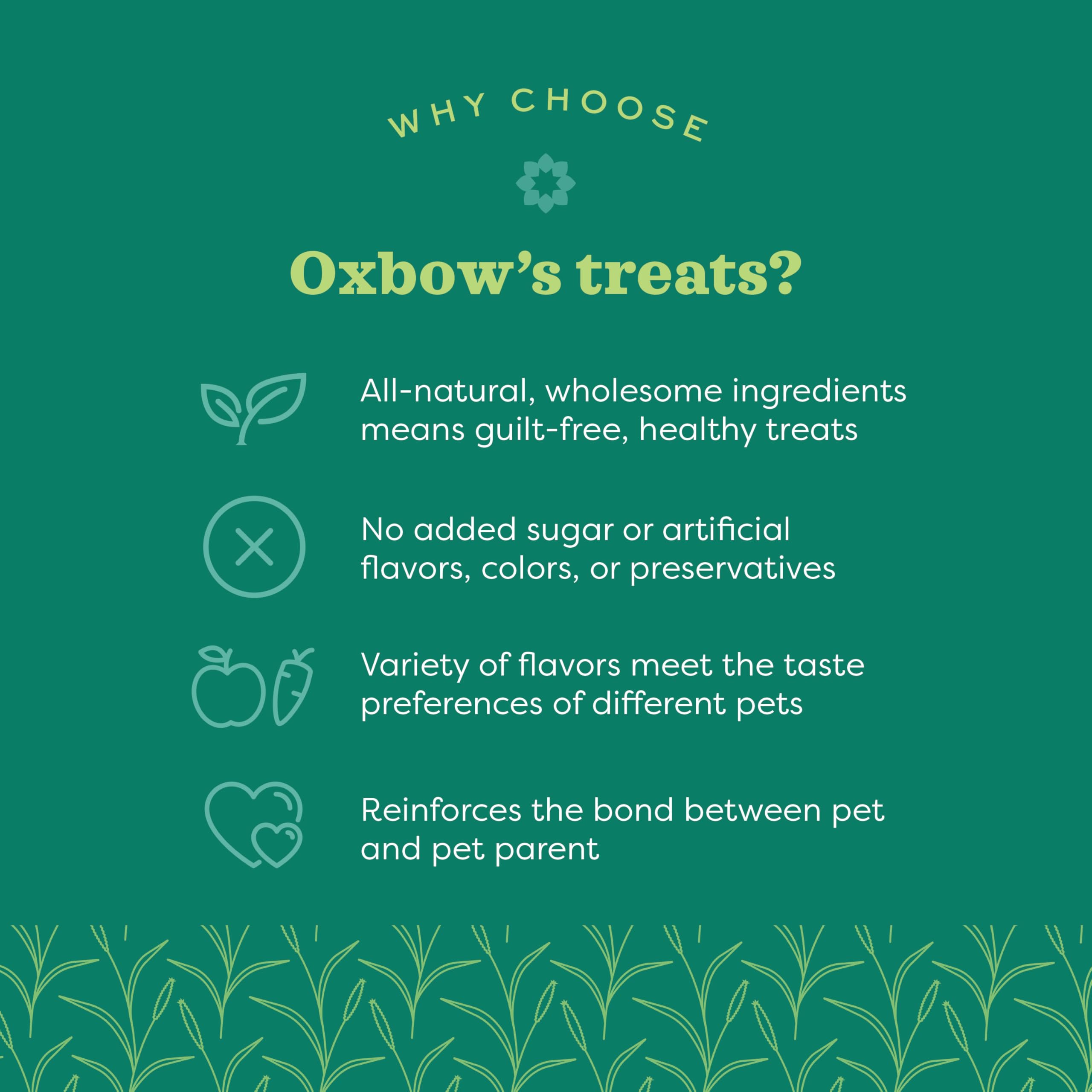 Oxbow Organic Barley Biscuits, Rabbit & Guinea Pig Treats, Organic Hamster & Bunny Treats with Barley, Apple & Carrot, Made in U