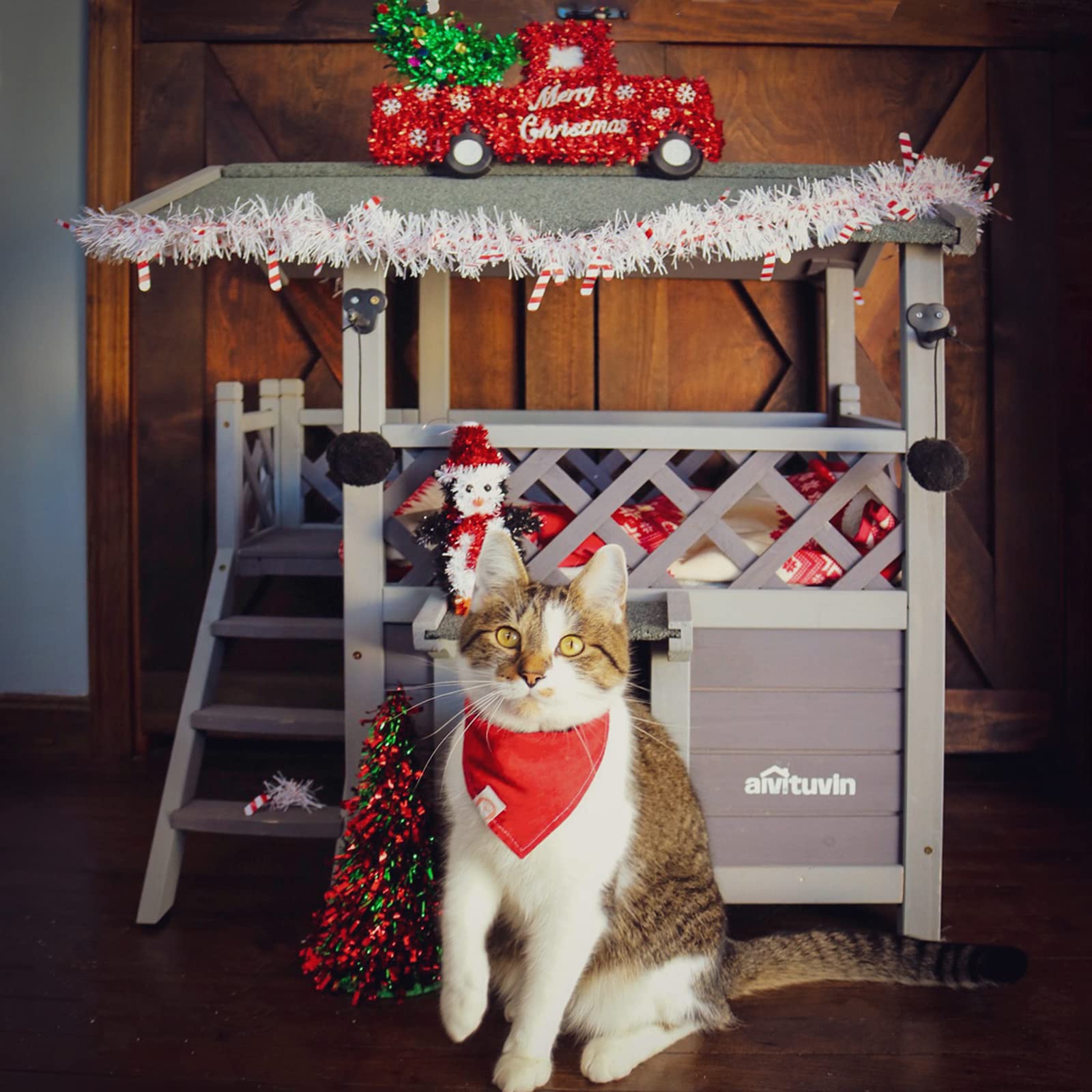 Cat House With Door For Feral Cats, Rainproof Outside Kitty House, 2 Story Wooden Kitten Condo With Stairs (Air09-Bs)