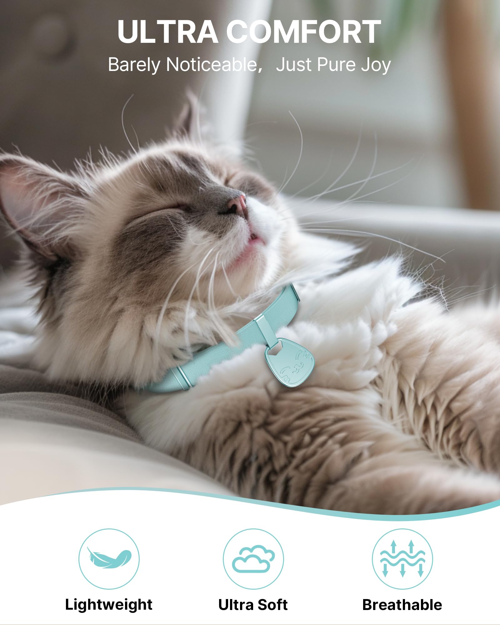 Cat Collar With Name Tag Breakaway: Reflective Kitten Collars With Qr Code Id Tag For Girl Boy Cats, Ultra Soft & Elastic Adjust