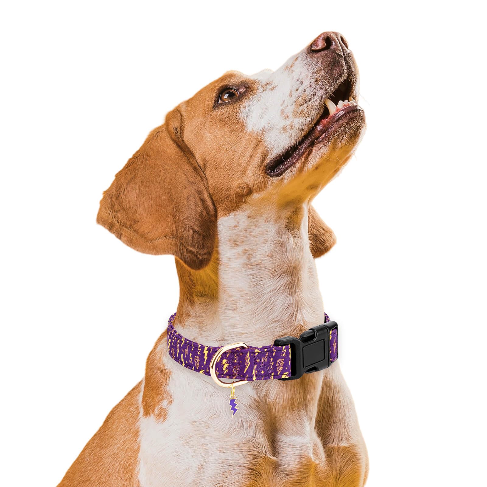 Gelwoo Personalized Dog Collars,Adjustable Puppy Collars With Safety Buckle For Small Medium Large Dogs,Cute And Unique Pink Che