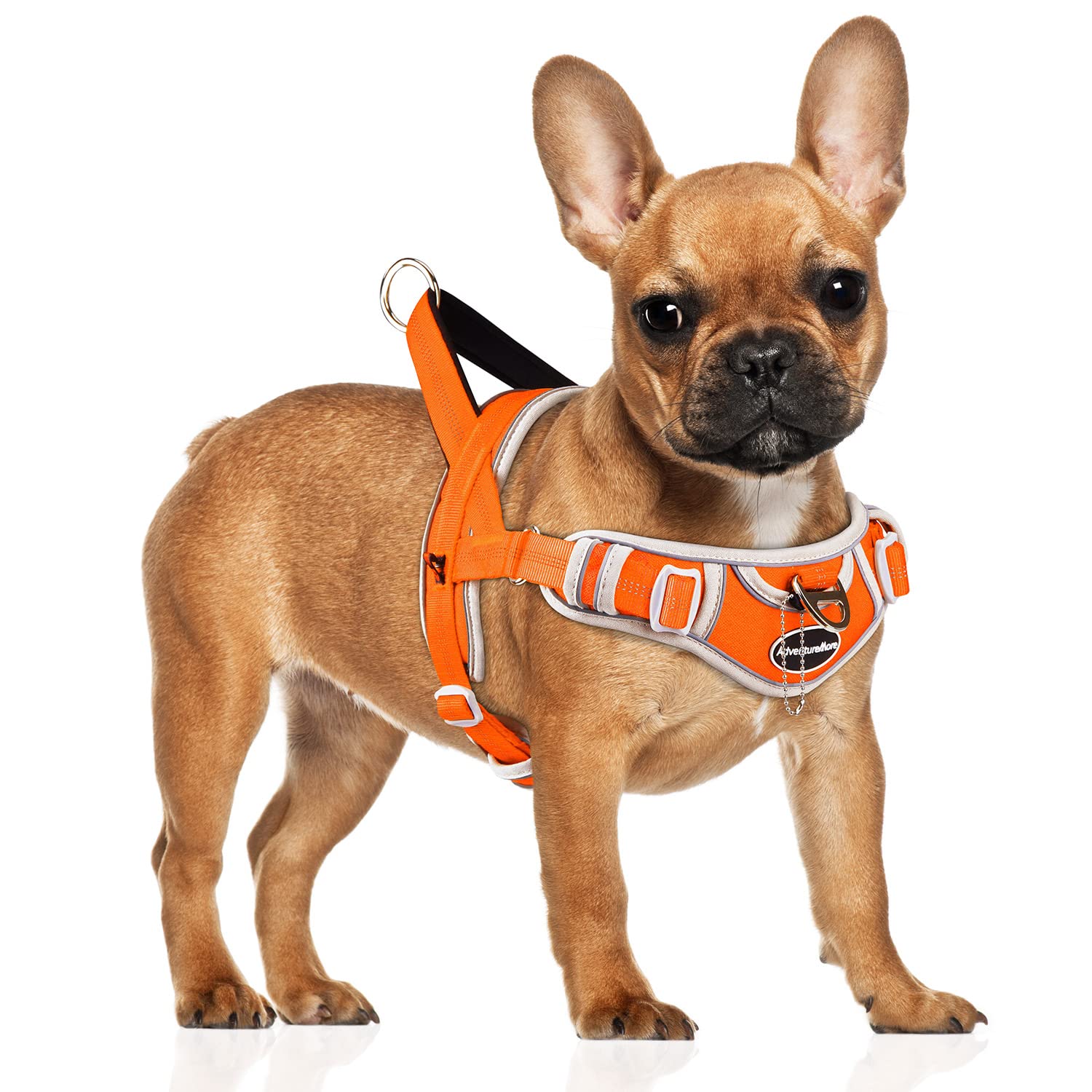 Adventuremore Dog Harness For Small Dogs No Pull, Dog Halter Harness Adjustable Reflective Dog Vest Escape Proof Dog Harness With Easy Control Front Clip Handle For Training Walking S Orange