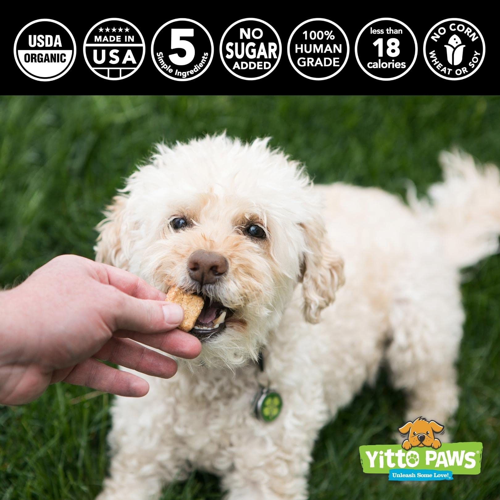 Crunchy Organic Blueberry Dog Treats, Oats & Peanut Butter Healthy Dog Treats, Vegan All Natural Dog Training Treats Made in USA