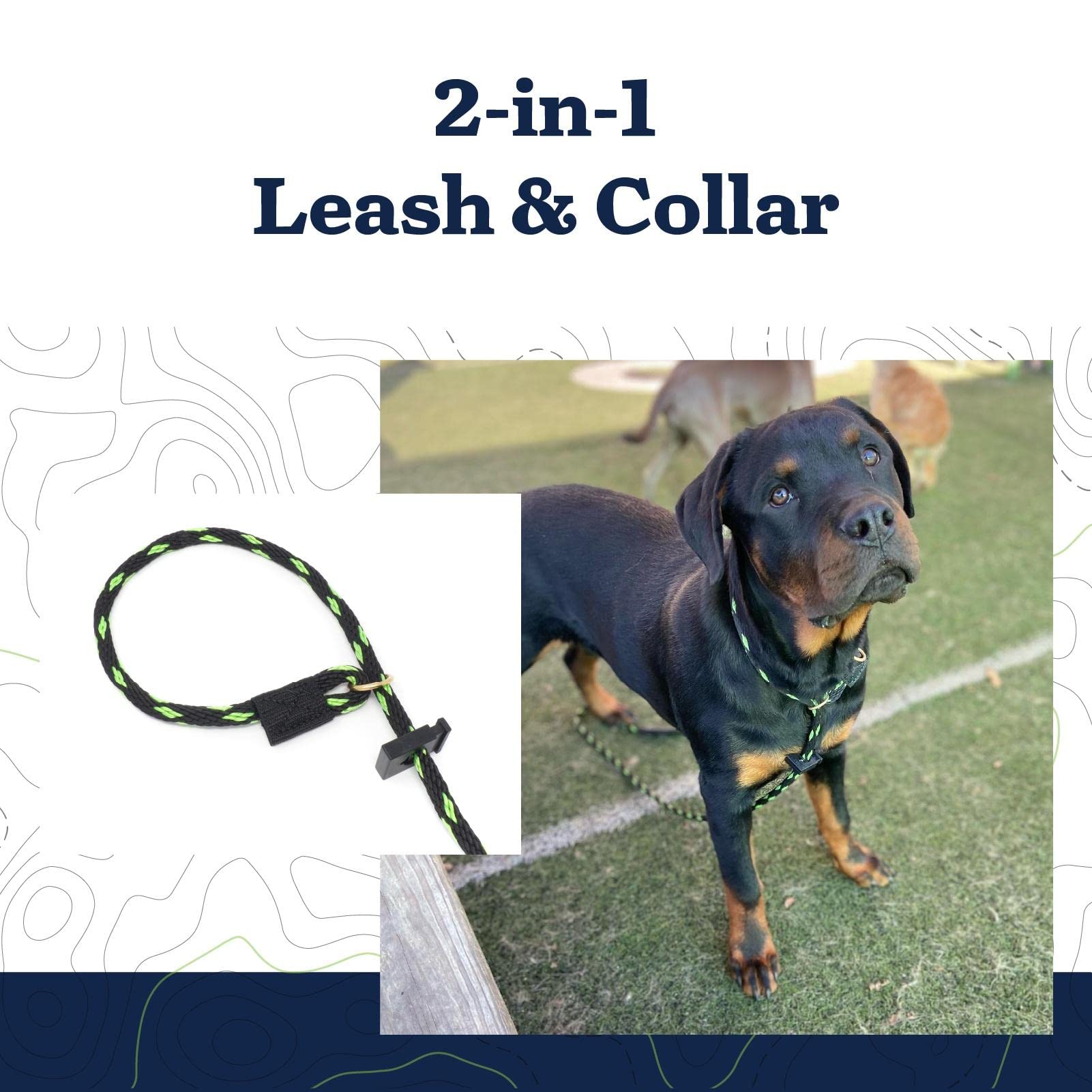 Mad Dog Products English Slip Dog Lead | 1/2 Inch X 6 Feet | Teal