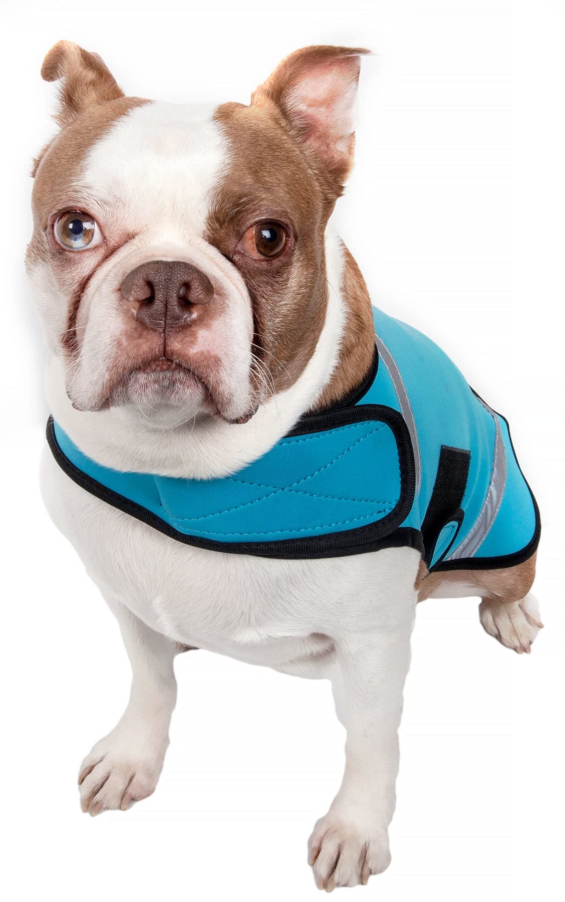Extreme Neoprene Multi-Purpose Protective Shell Dog Coat(D0102H7LBEY.)