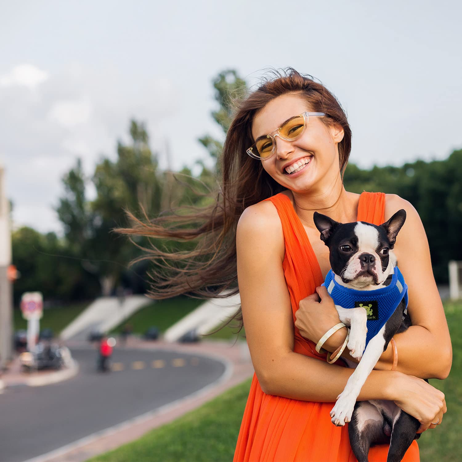 Ecobark Step In Dog Harness - Reflective Soft Luxurious Mesh Dog Harnesses For Xxs, Xs, Small, And Medium Dogs - Eco-Friendly Comfort Secure Halter No Pull Adjustable Pet Vest (Royal Blue, Xs)