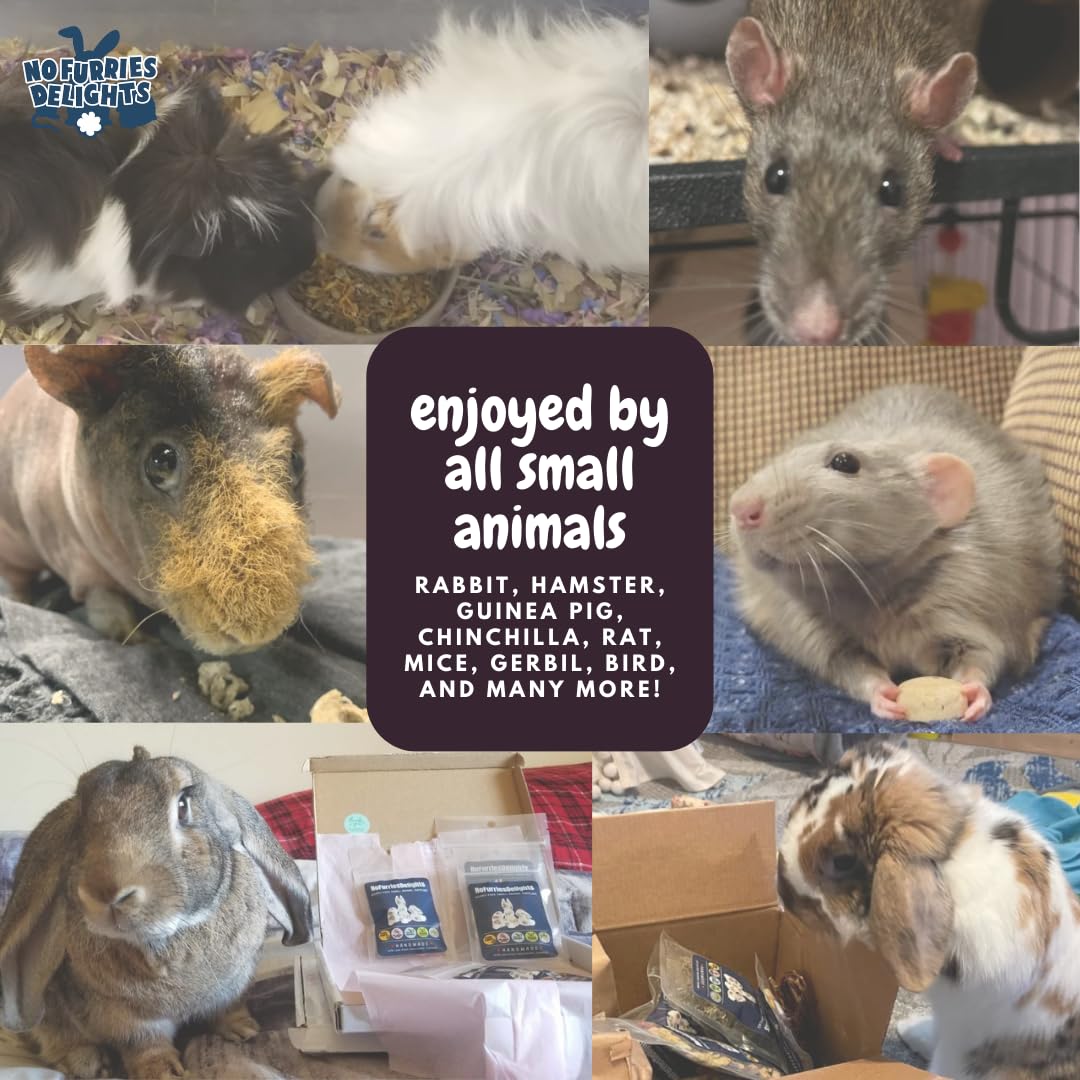 No Furries Delights Forage Mix,100% All Natural Botanical Herb Treat for Rabbit Hamster Guinea Pig Chinchilla Chicken Hermit Cra