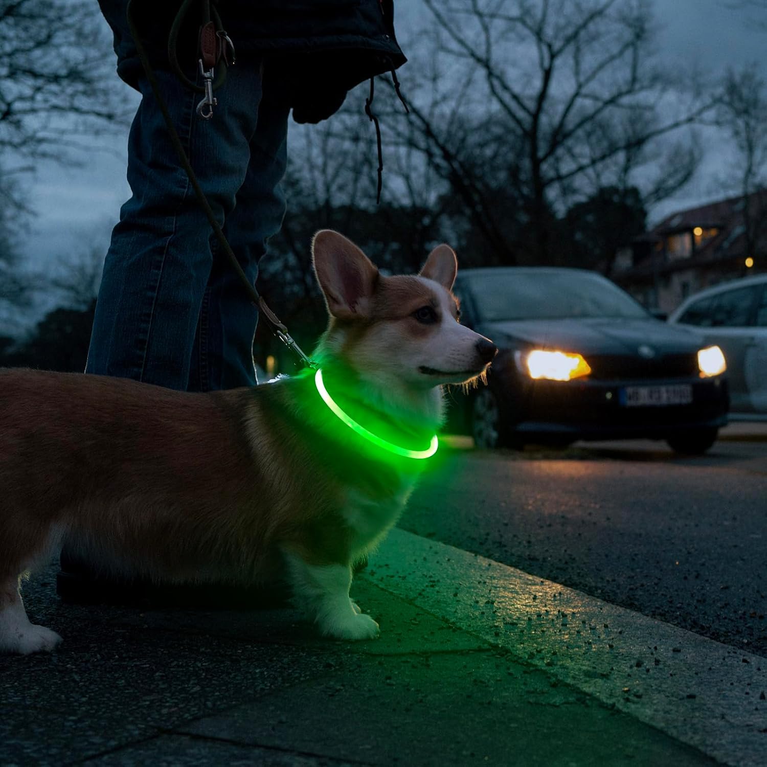 Higo Light Up Dog Collar, Rgb Rechargeable Led Dog Collar, Tpu Dog Collar Light For Night Walking, Cuttable Size, Be Seen At Nig