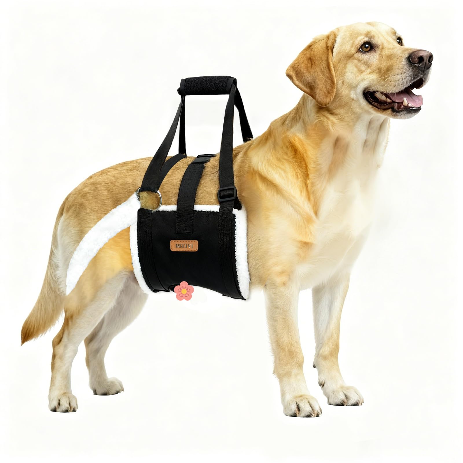 Dog Lift Harness Sling for Large Dogs - Adjustable Rear Leg Support with Padding & No-Slip Back Fixed Buckle, Hip Dysplasia/ACL/