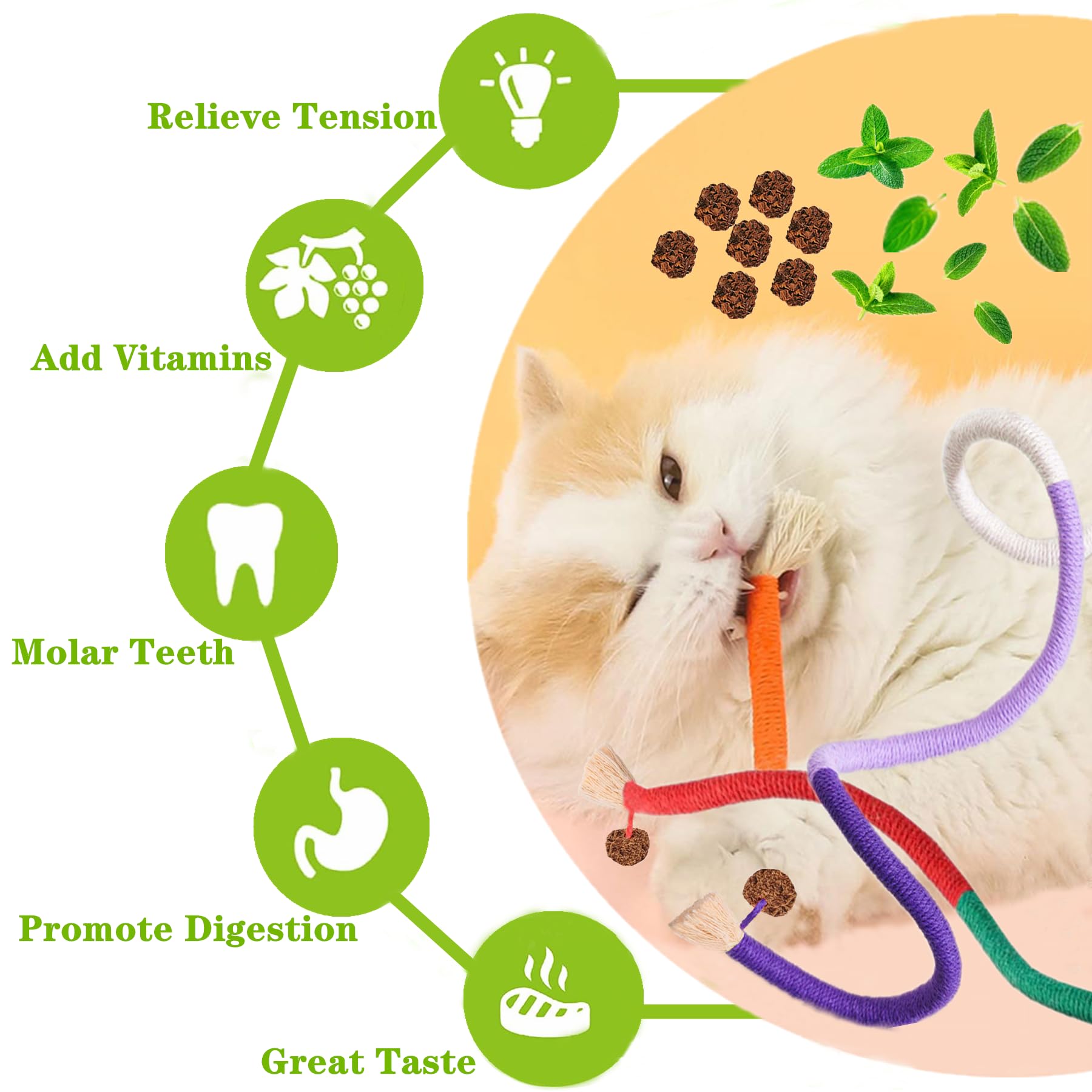 NSWXZDS Cat Toys for Indoor Cats 12pcs Kitten Chew Self Play Kitty Dental Rope Interactive Catnip Toy Refillable Matatabi Treats
