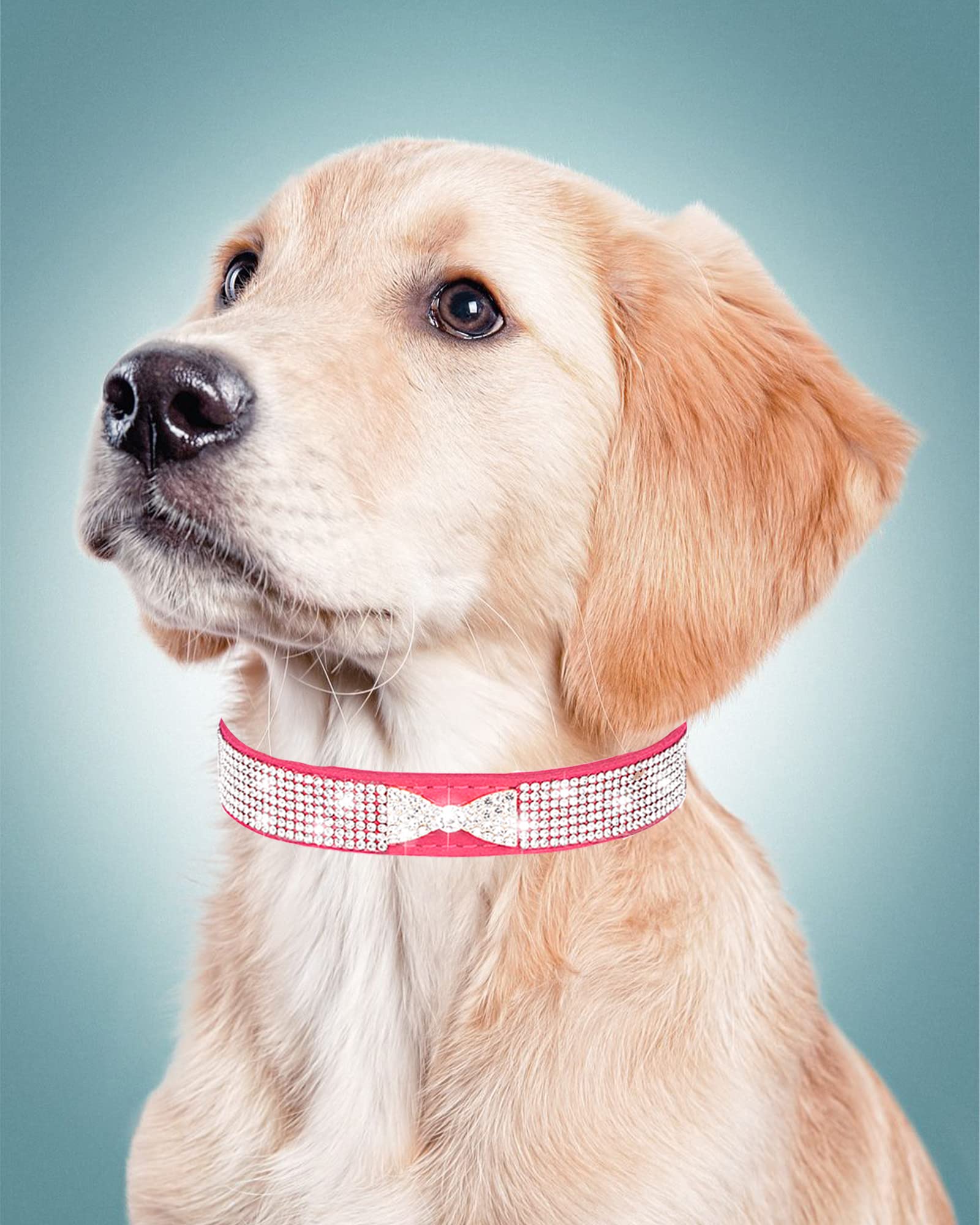 Dog Collar For Small Dogs, Adjustable Leather Suede Bling Dog Collars,Pink Dog Collar Cat Collar, Rhinestone Dog Collar (Xs, Ros