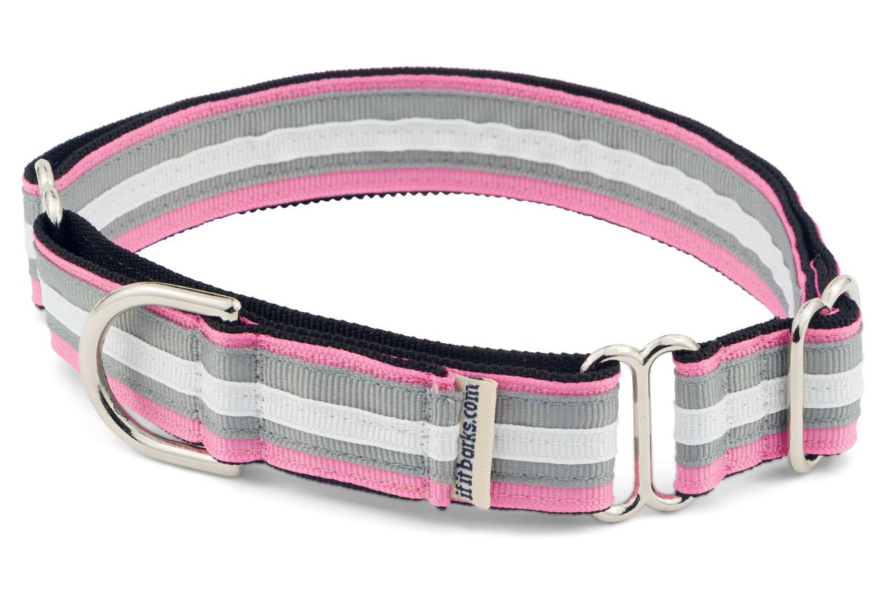 If It Barks 1 Martingale Collar For Dogs, Adjustable Nylon, Usa Made, Medium, Spunky