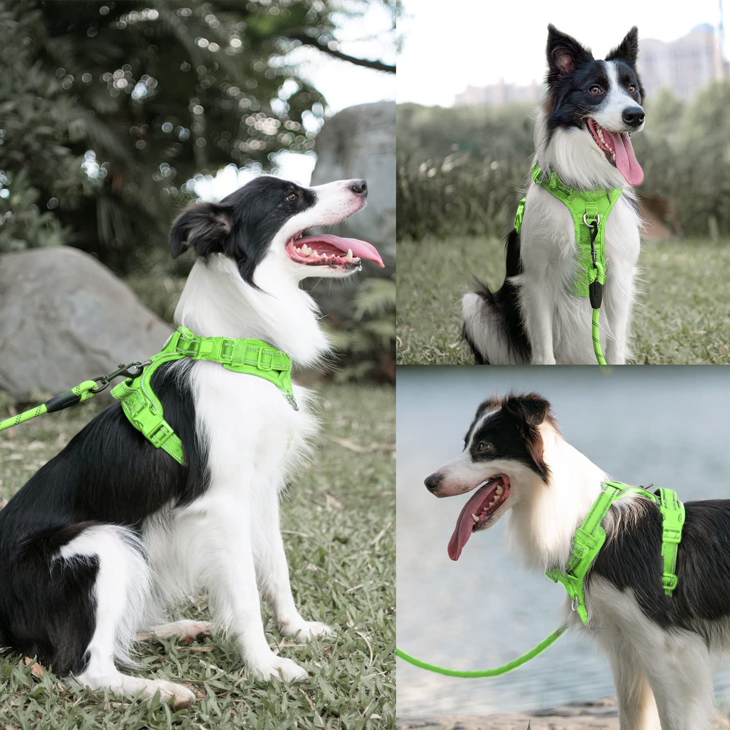 Poypet No Pull Dog Harness And 5 Feet Leash Set, Release On Neck Reflective Adjustable Pet Vest, Front & Back 2 D-Ring And Soft Padded Pet Harness With Handle For Small To Large Dogs(Green,L)