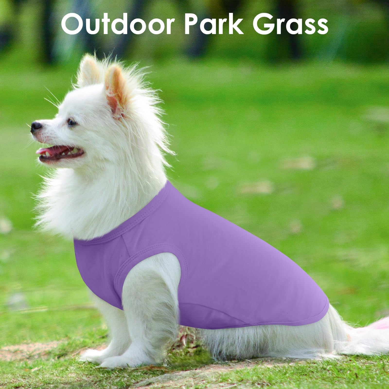 3 Pack M-Purple Striped Dog T Shirt For Small Dogs,Medium Sleeveless Dachshund Tee For Rainy Weather,Keep Body Heat After Runing