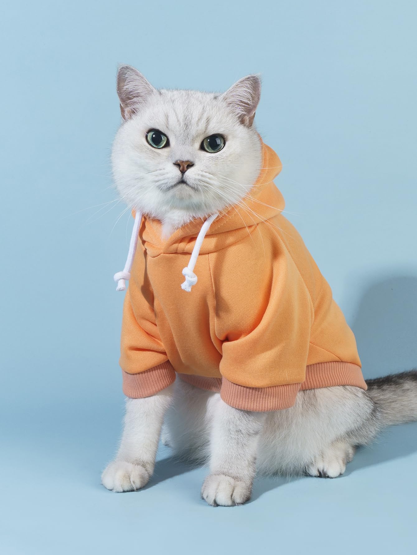 Qwinee Basic Dog Hoodie, Dog Warm Jacket, Cat Apparel, Dog Shirt, Dog Clothes For Puppy Kitten Small Medium Dogs Cats Orange Xxl