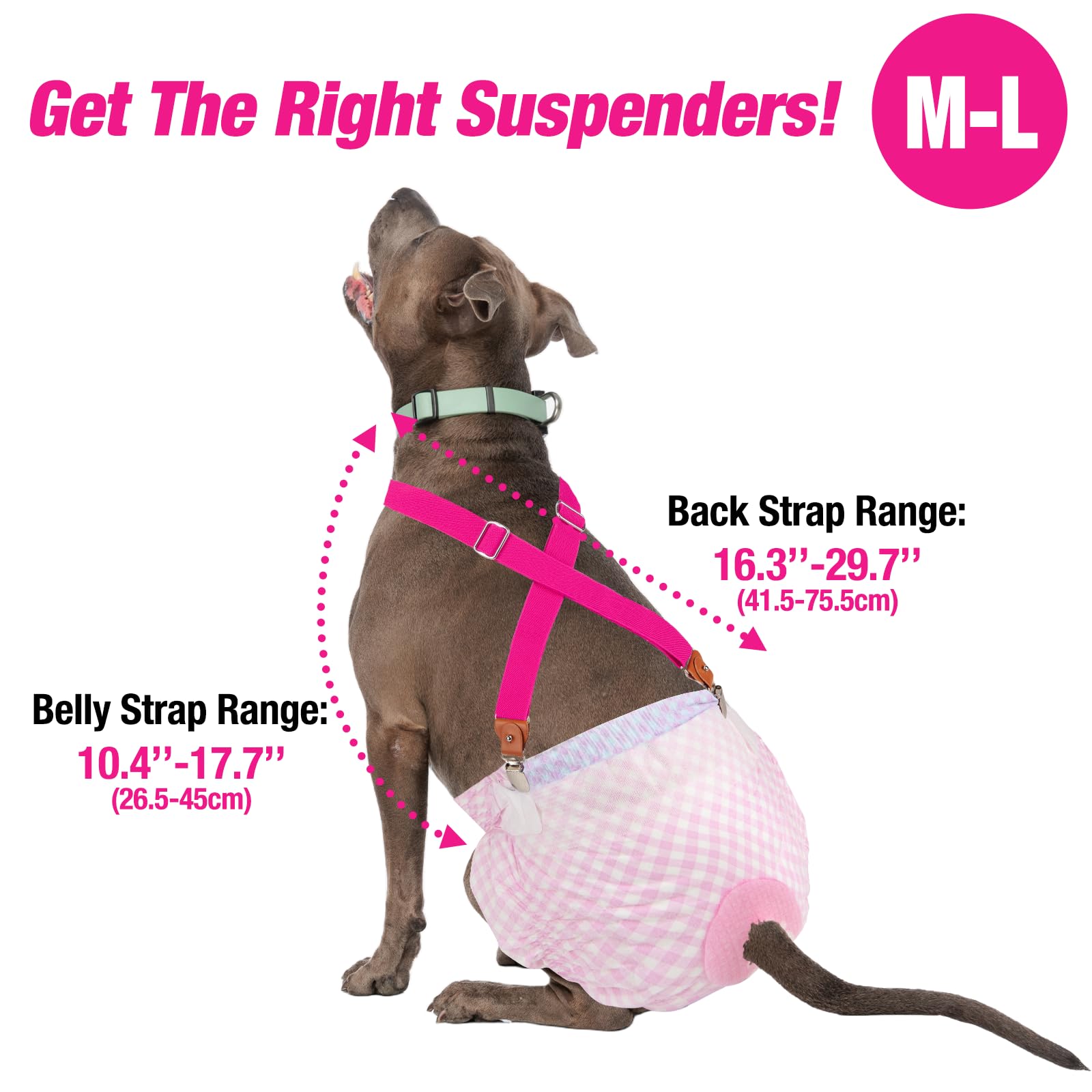 Pet Soft Dog Suspenders 2 Pieces Female Dog Diaper Suspenders For Dogs Diaper Keeper Suspender For Dog Skirt, Dog Dress (Plaid, M/L)