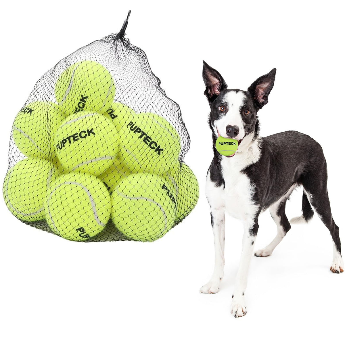 Pupteck Squeaky Tennis Balls For Dogs, 2.5' Training Bouncy Ball Toys 12 Packs For Dogs Playing, Exercise And Fetch