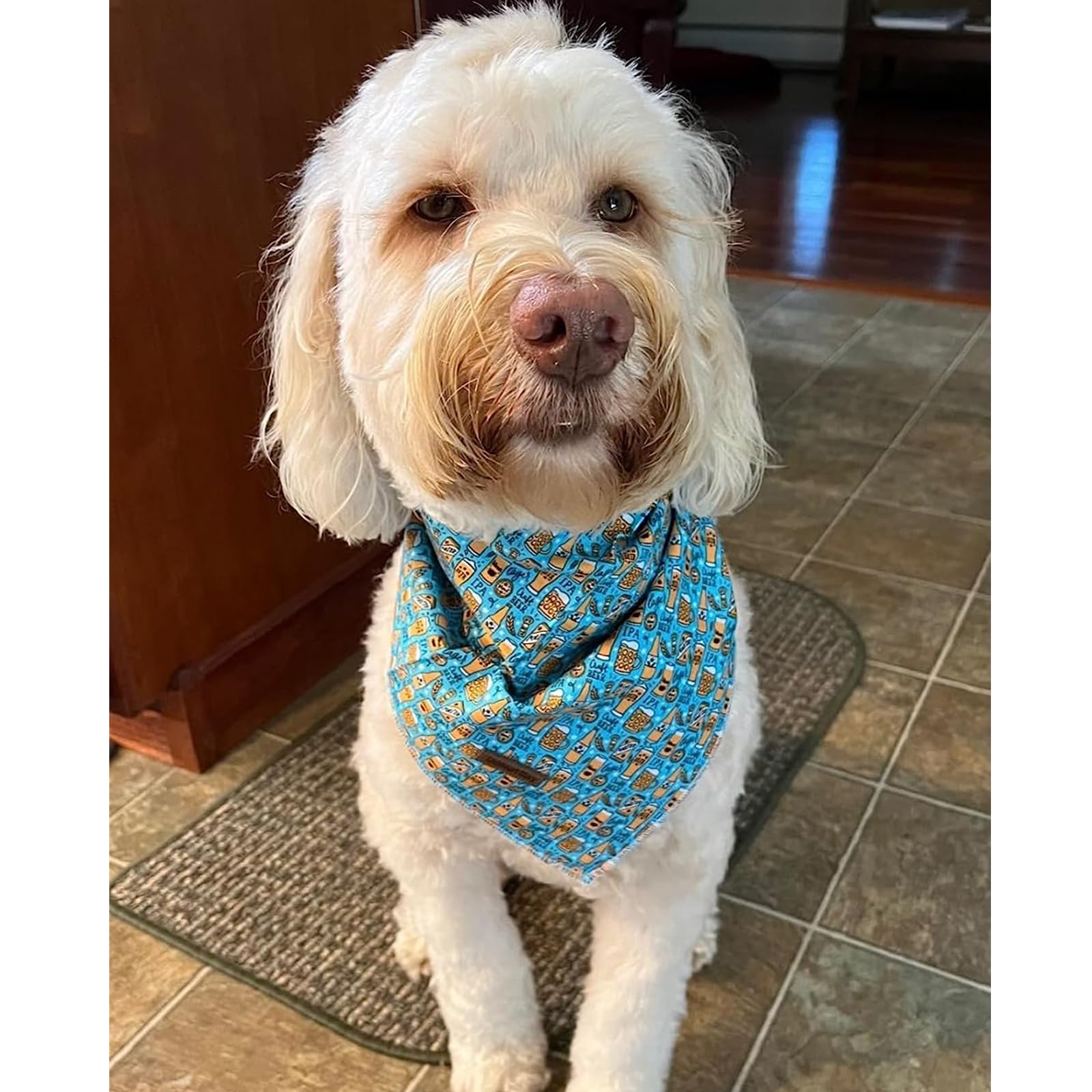 Lionheart Glory Dog Bandana, Blue Dog Scarf, Beer Print, Adjustable For Small To Large Dogs