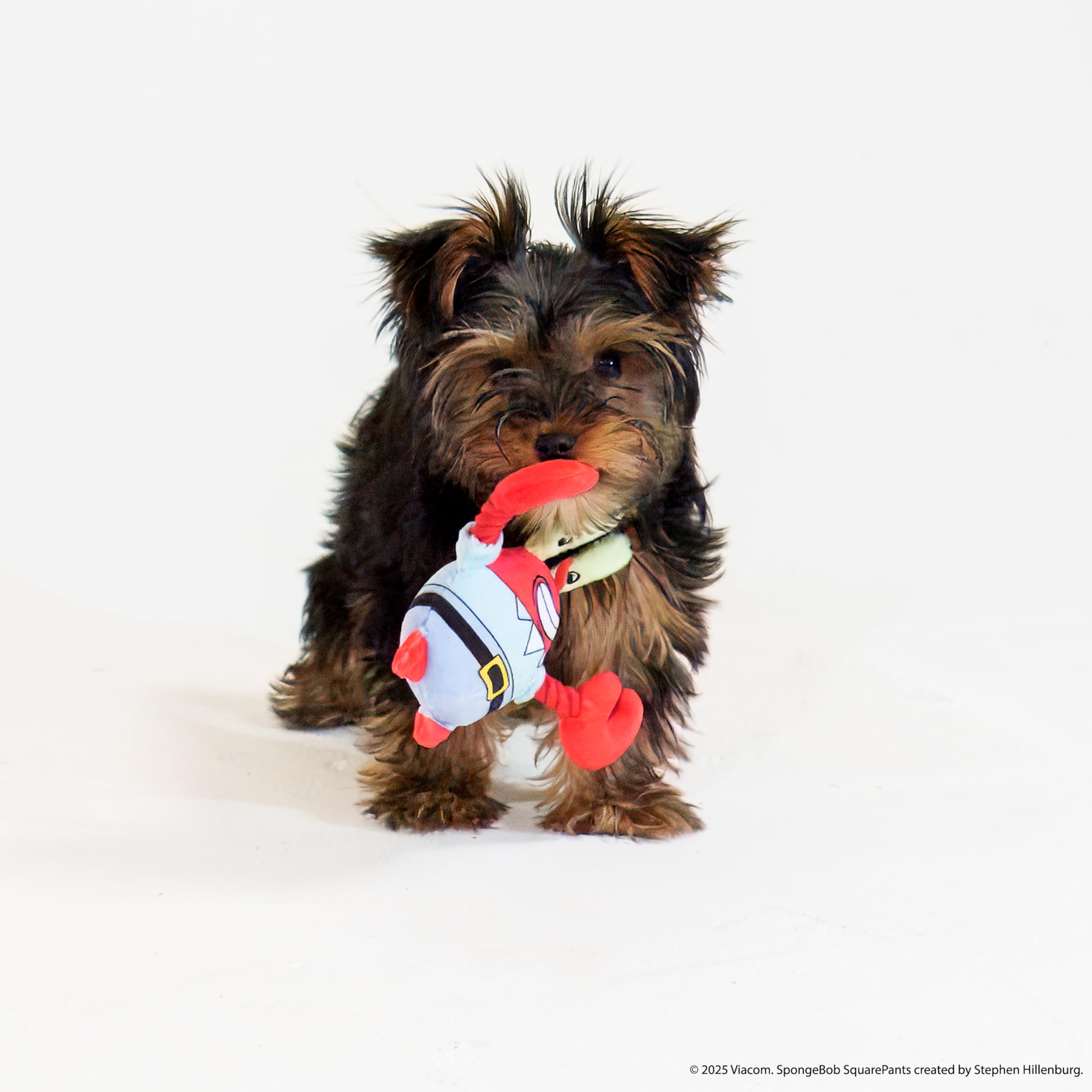 Design Lab, Inc. Spongebob Squarepants Official Merchandise | Interactive Dog Toys With Tug Rope & Squeakers | Collectible 3-Pac